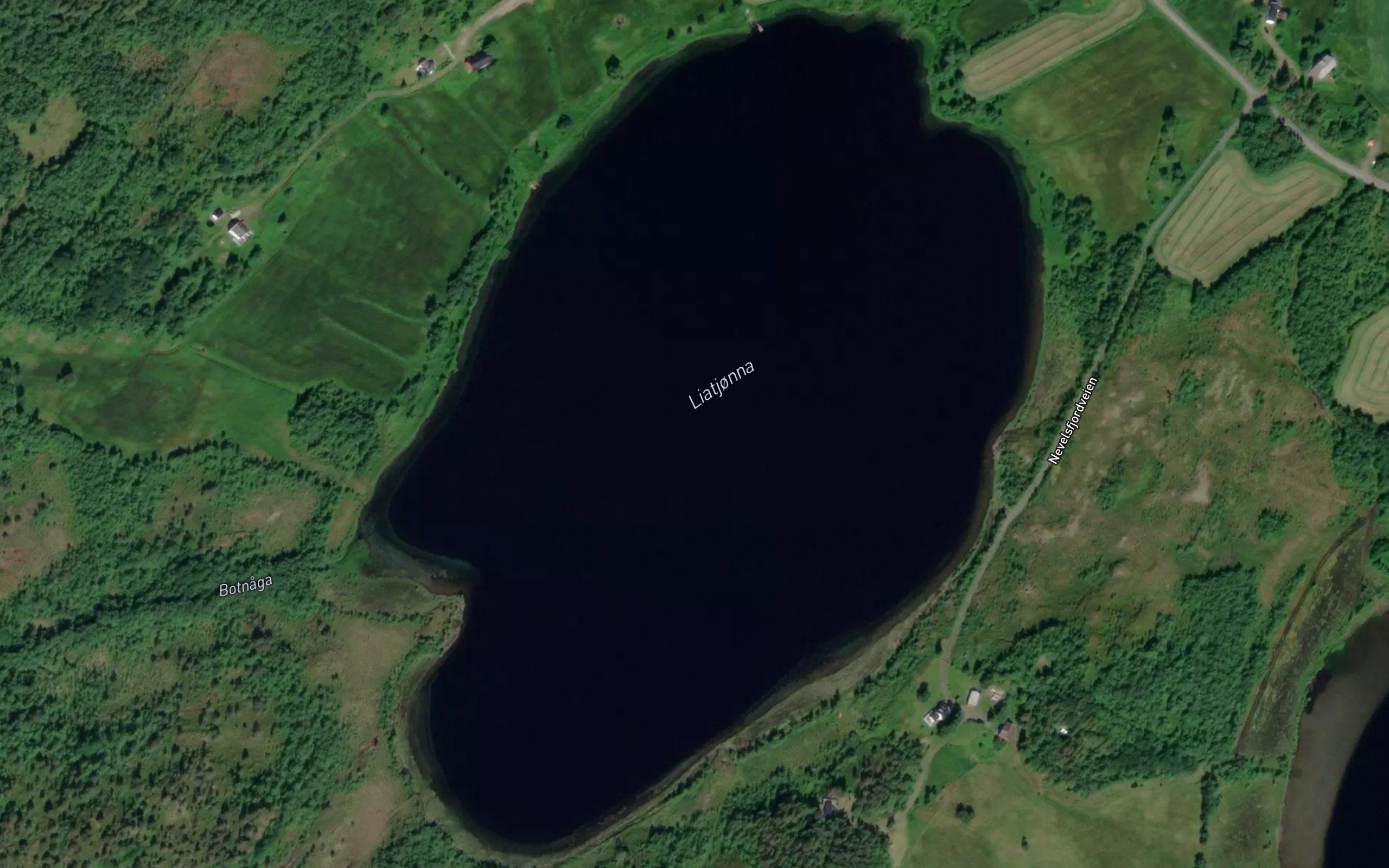 Liatjorna