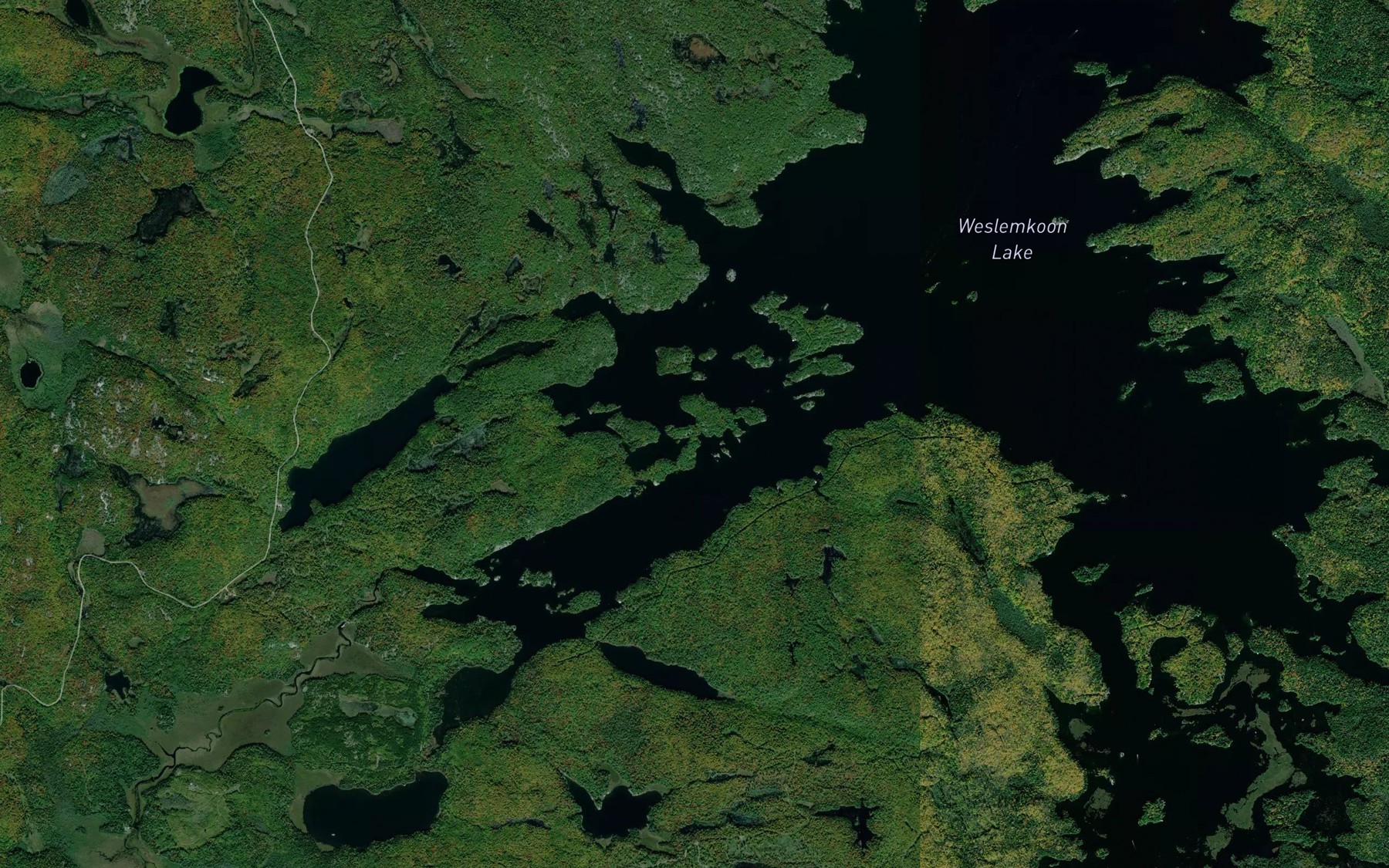 Satellite map of the West Bay