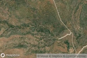 Double Corral Spring