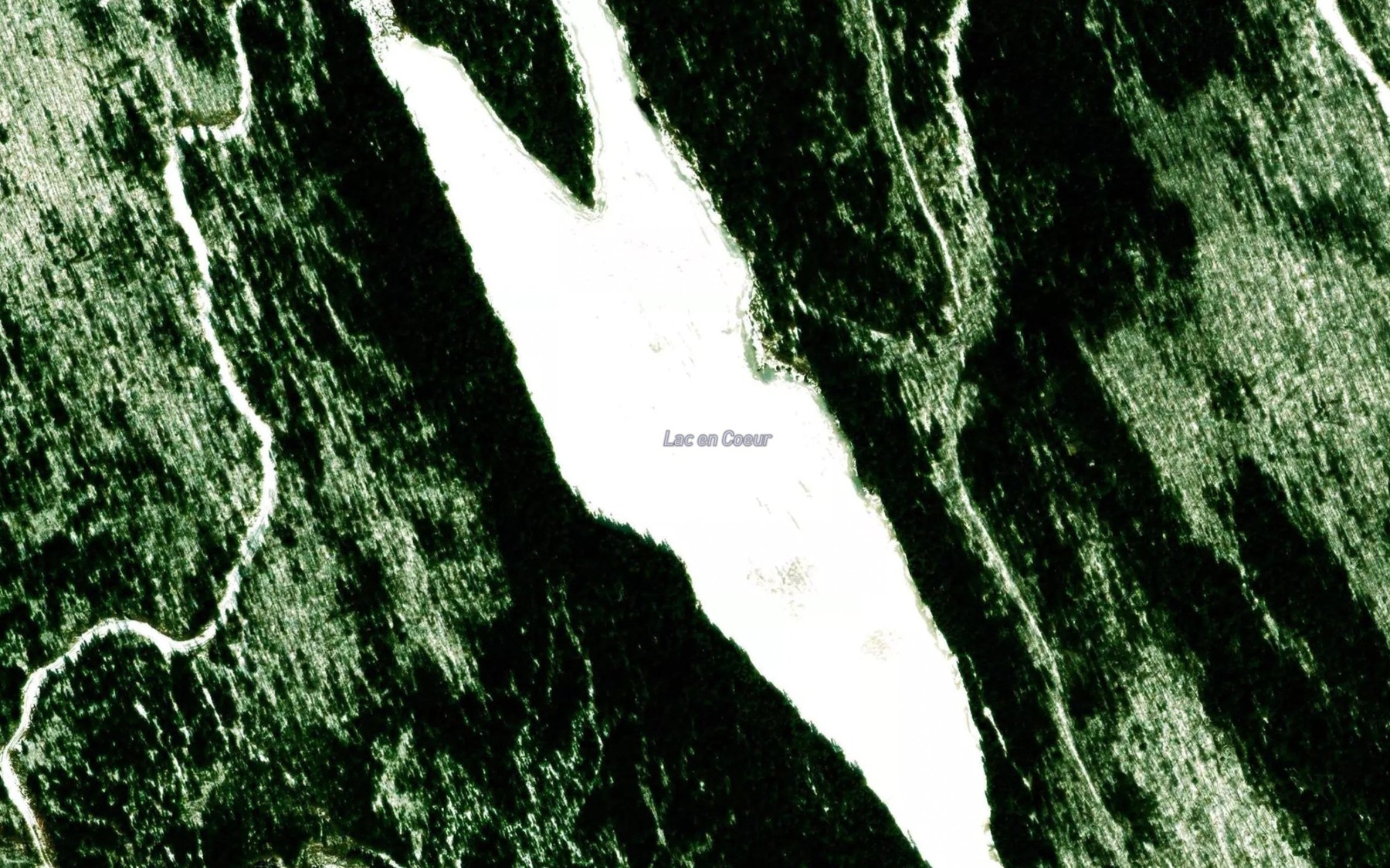 Satellite map of the Lac en Coeur