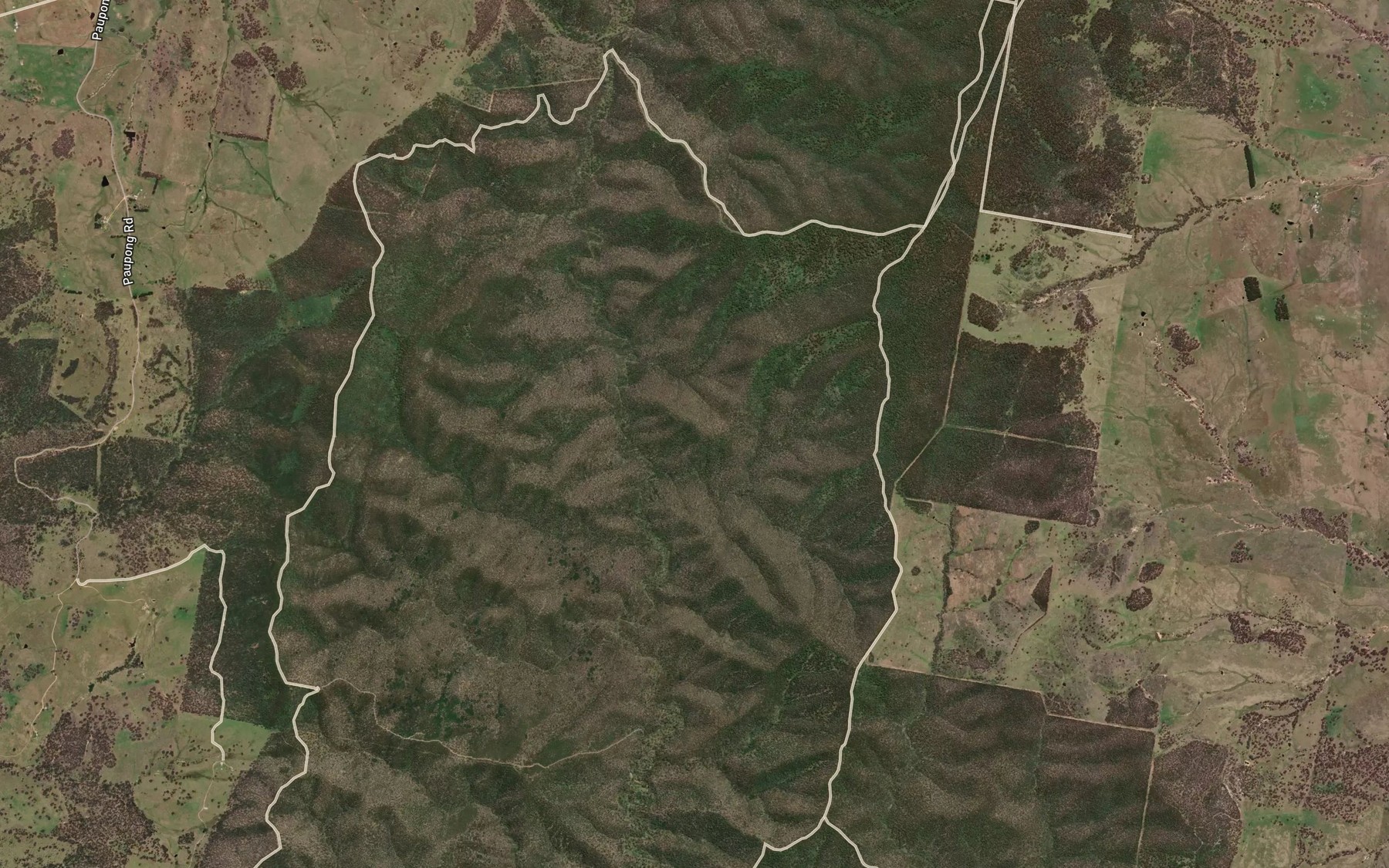 Satellite map of the Cattle Creek
