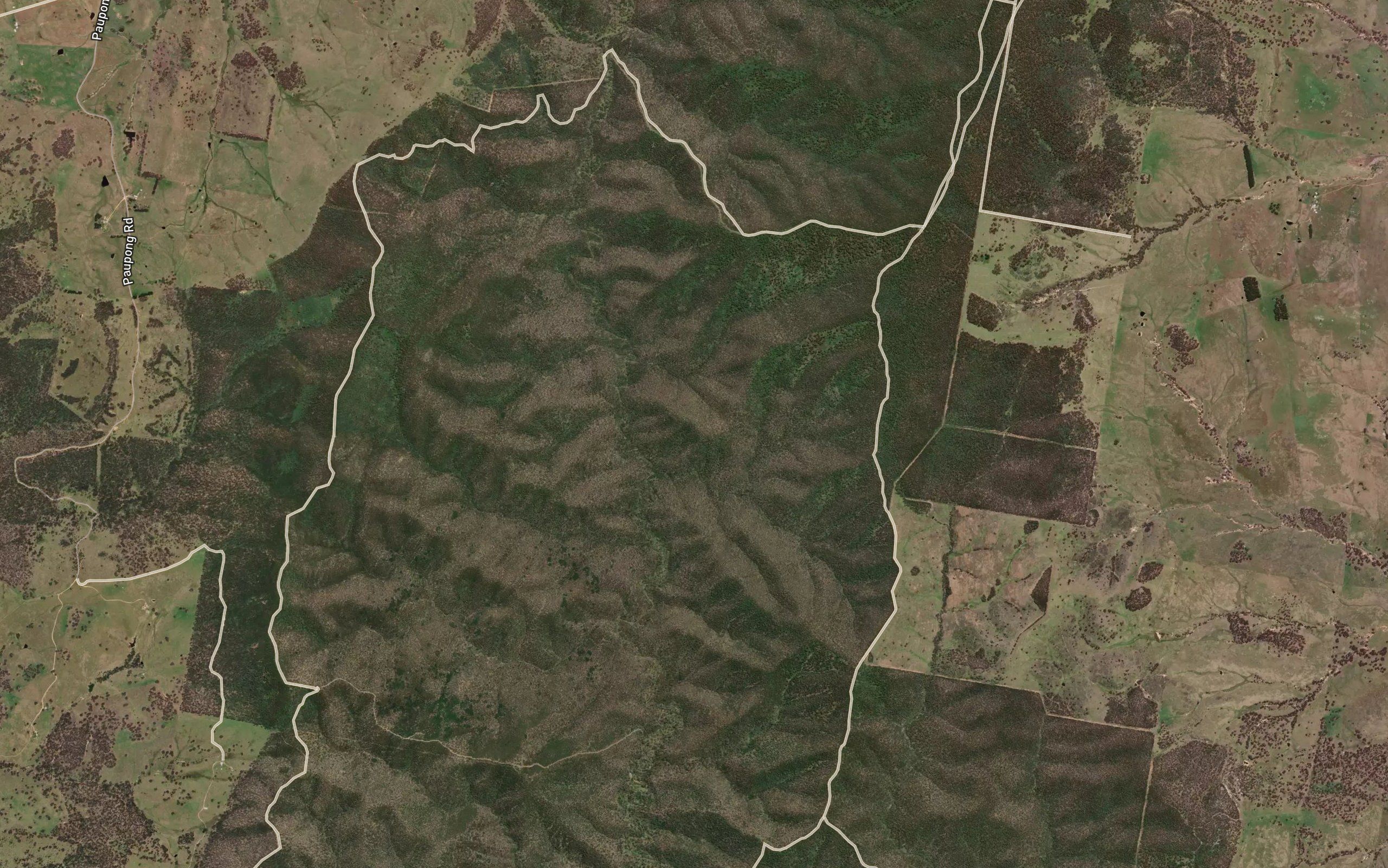 Cattle Creek