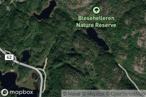 Gjorgjelstjenn