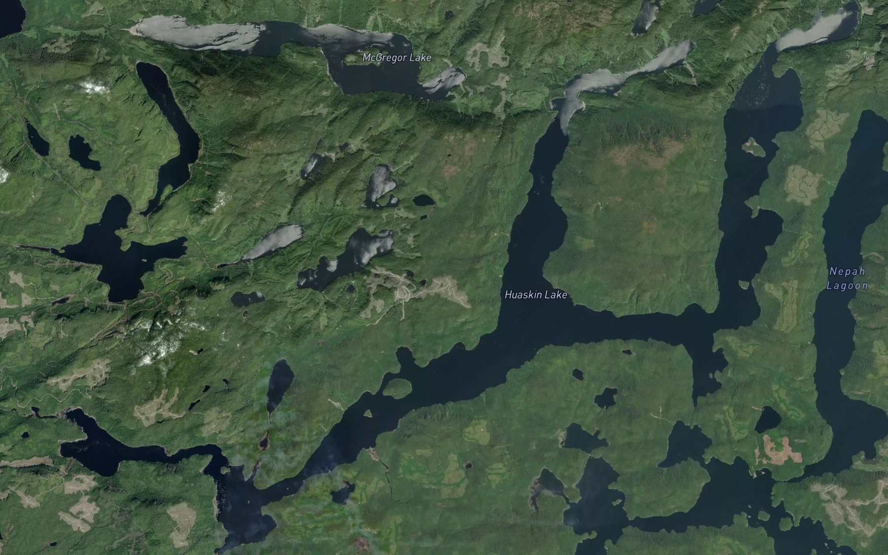 Satellite map of the Huaskin Lake
