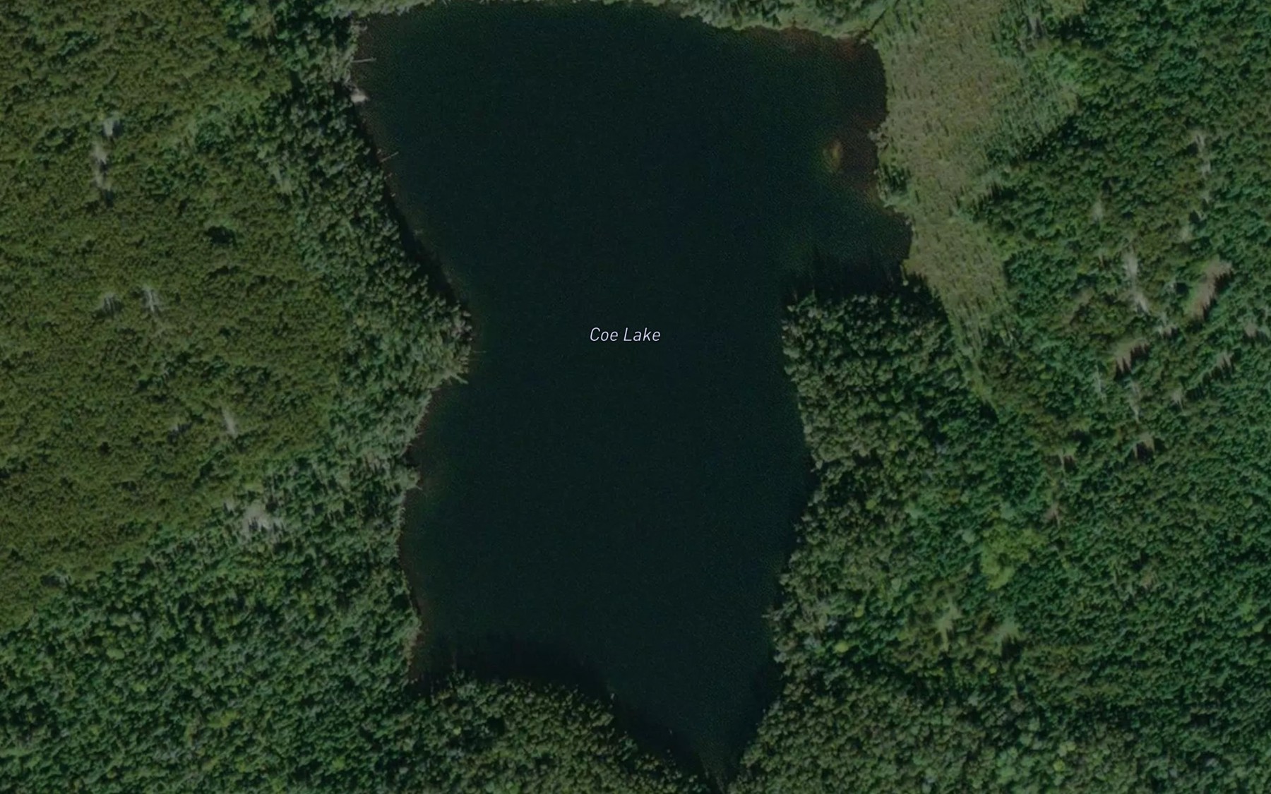 Satellite map of the Coe Lake