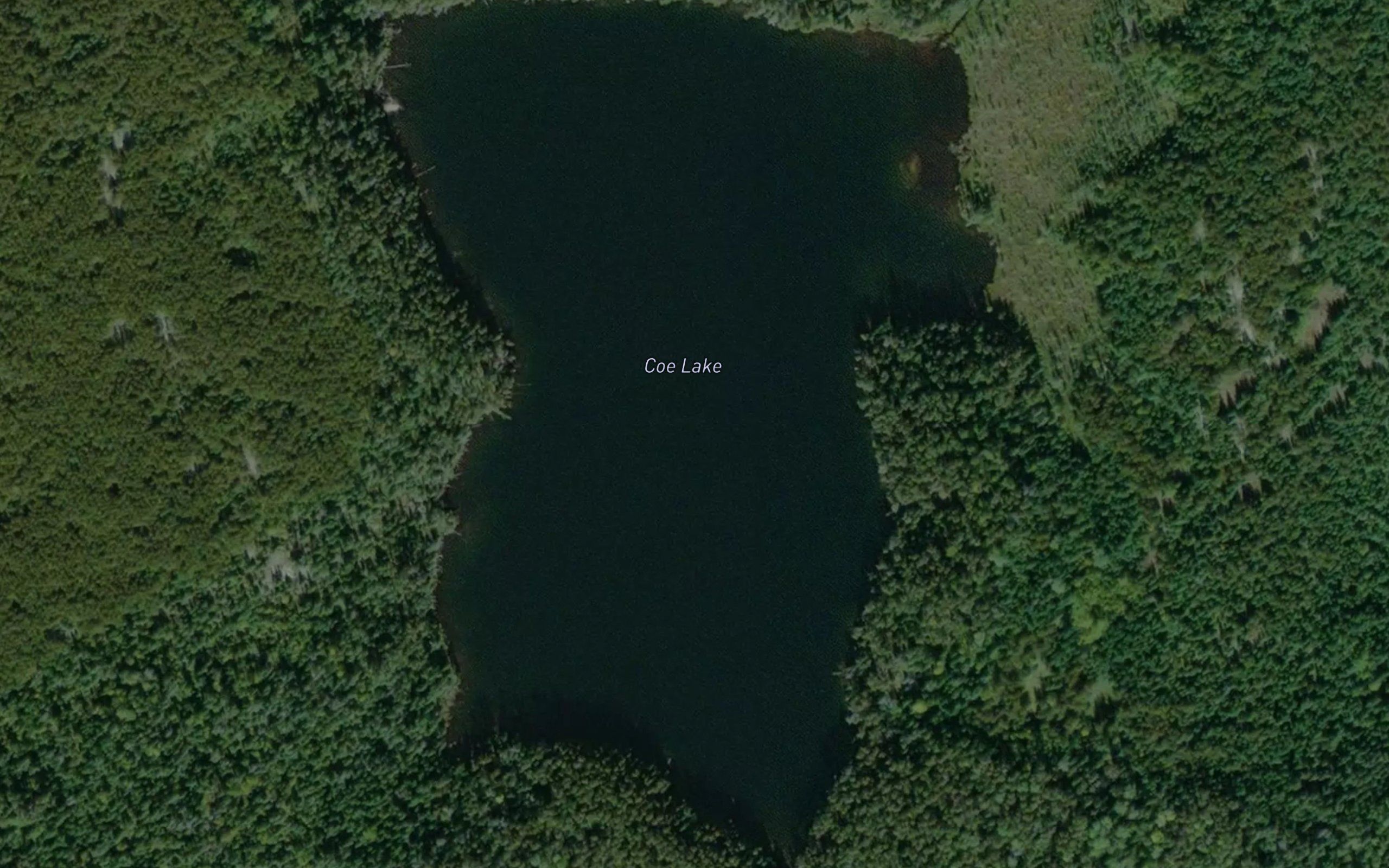 Coe Lake