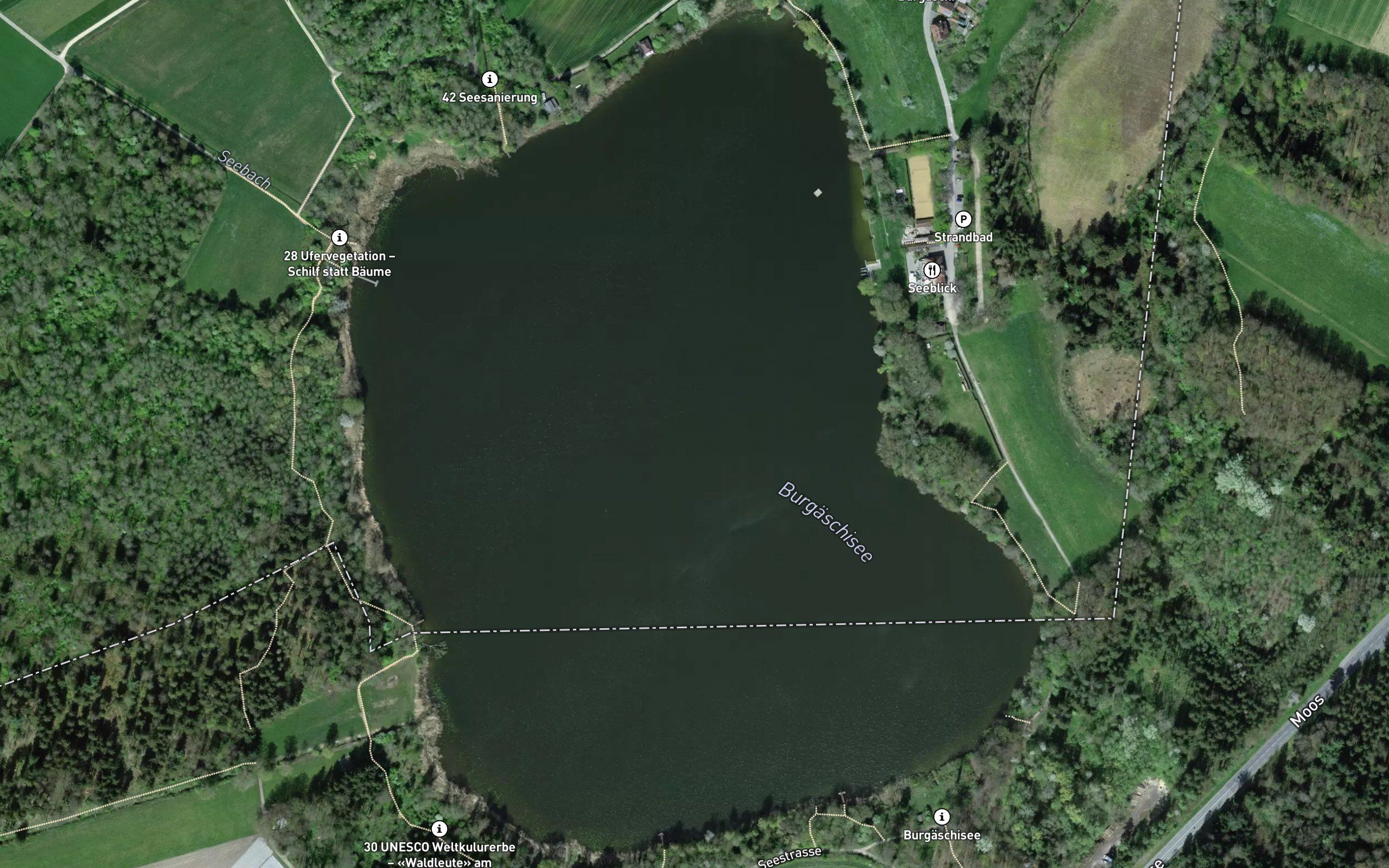 Burgaeschisee