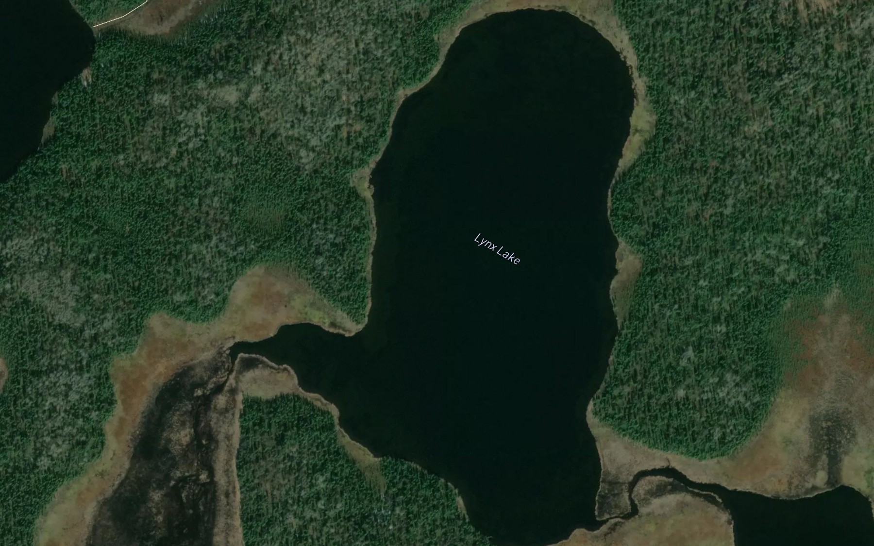 Satellite map of the Lynx Lake