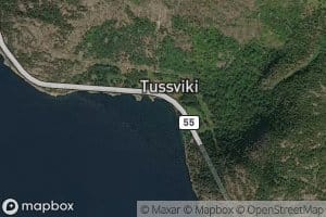 Tussvik