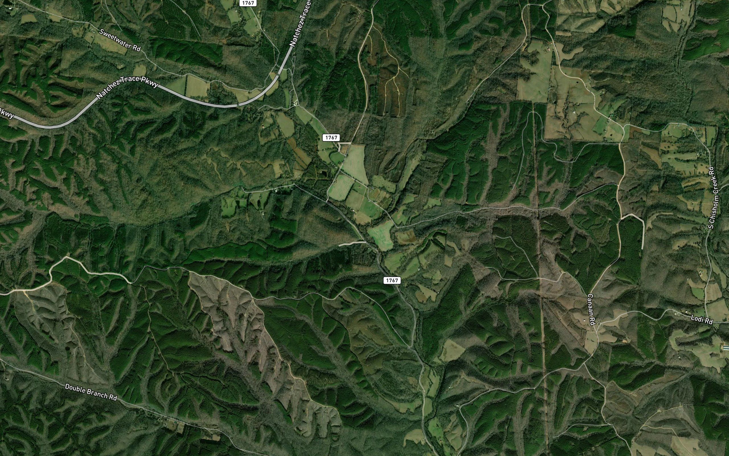 Adams Branch