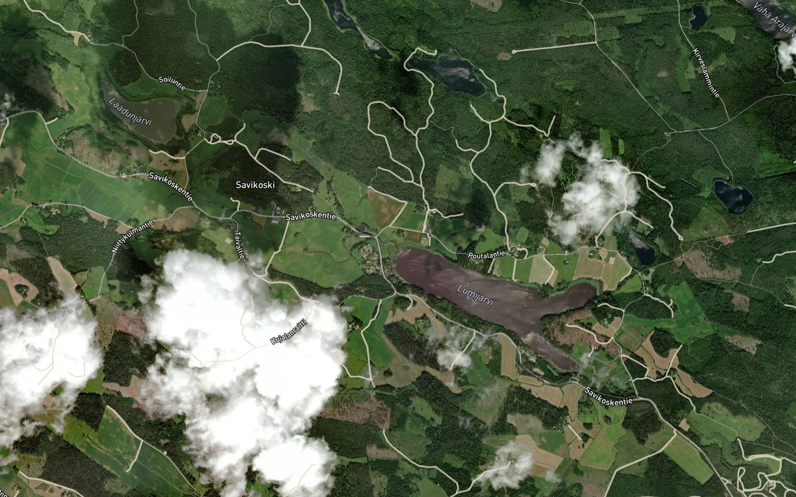 Savikoskenjoki