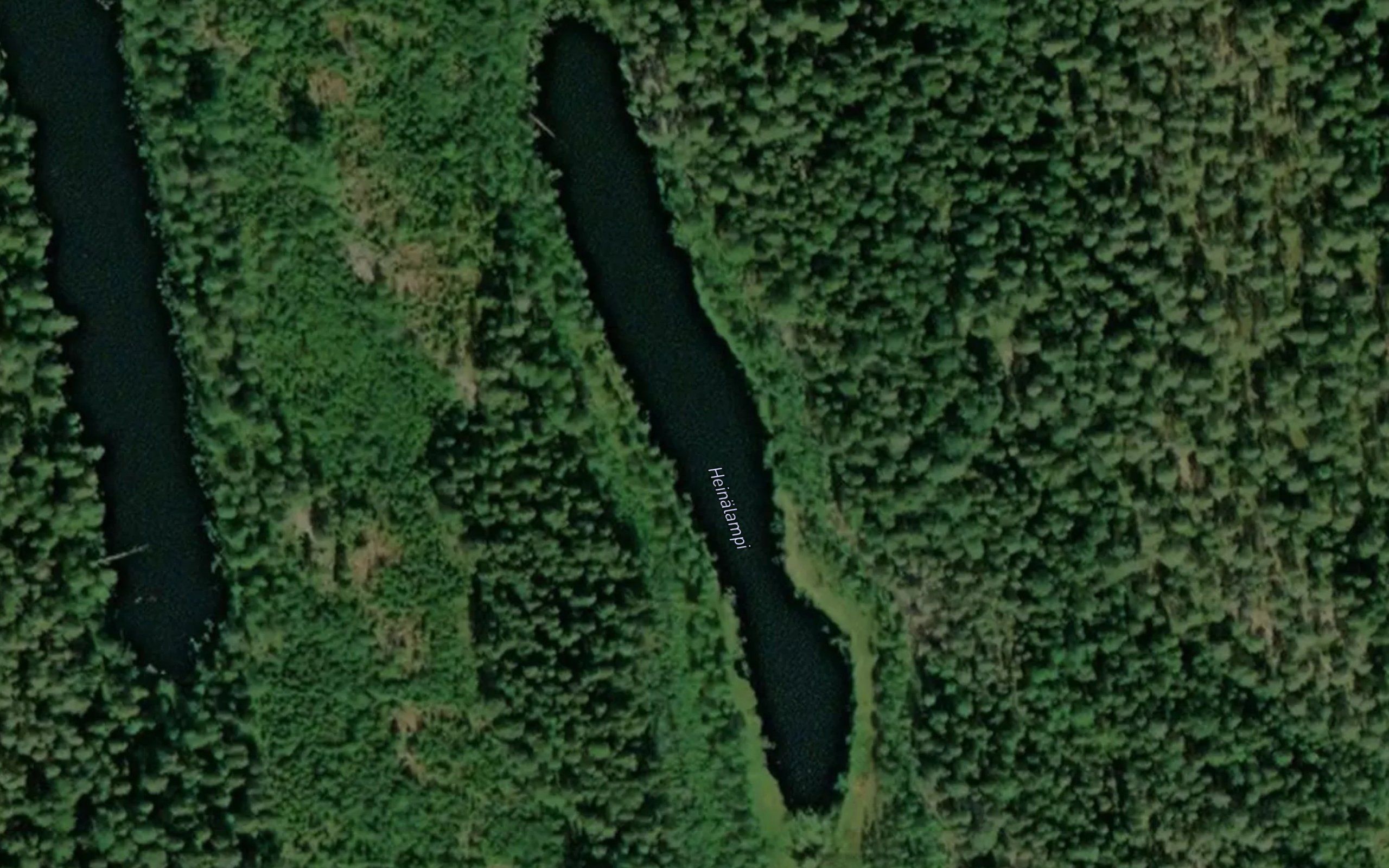 Heinalampi