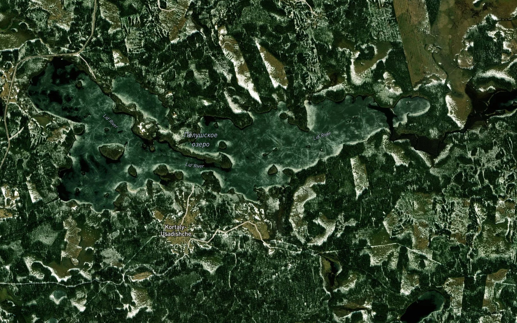 Satellite map of the Ozero Pelushskoye