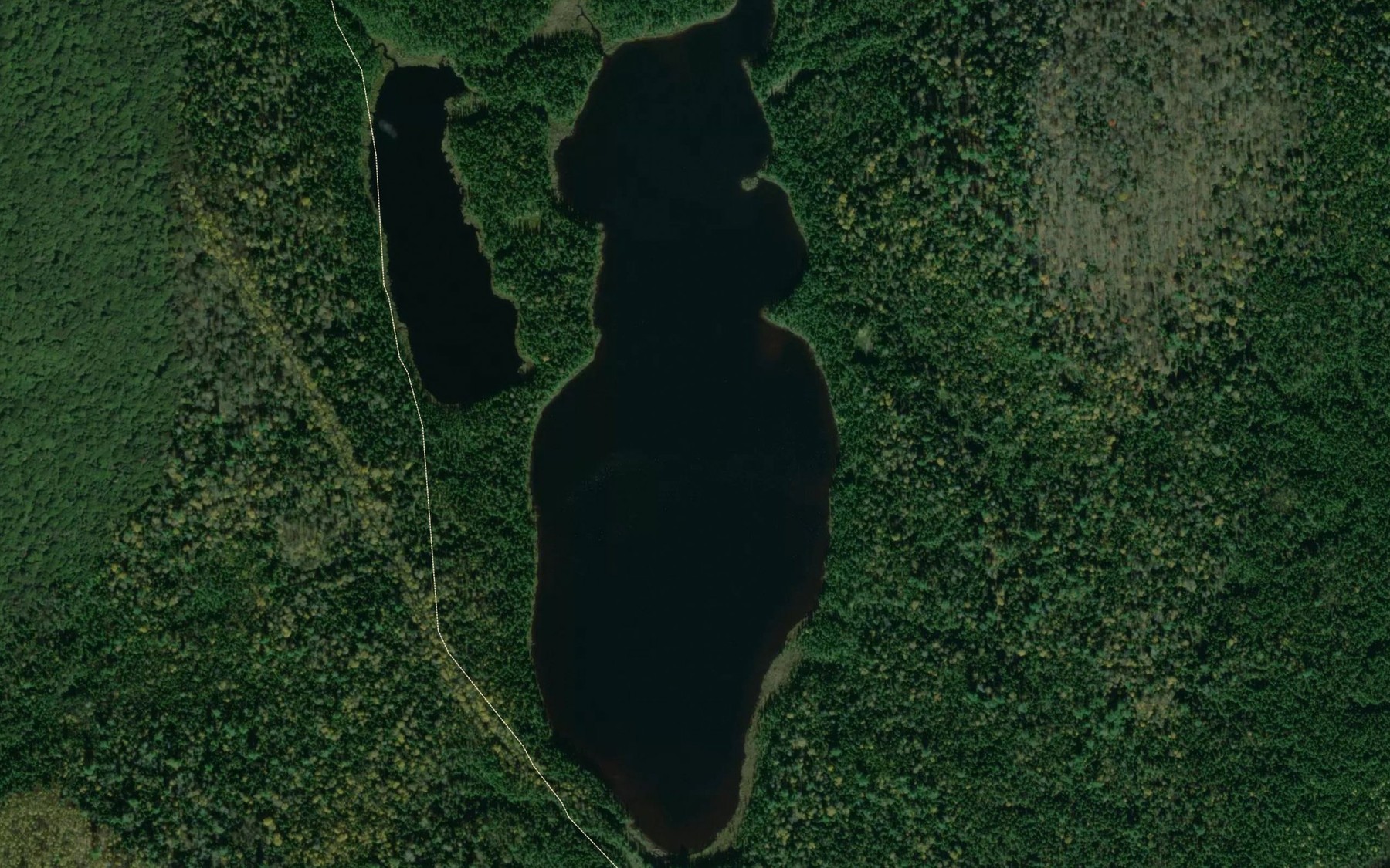 Satellite map of the Lac Shark
