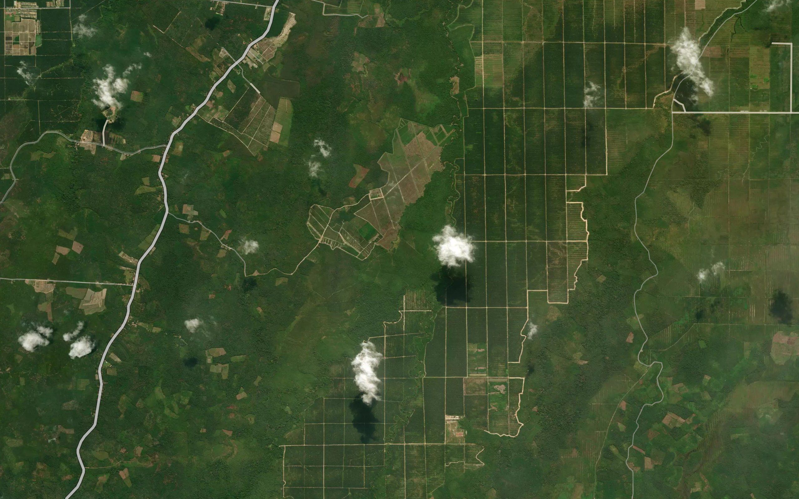 Sungai Sialang