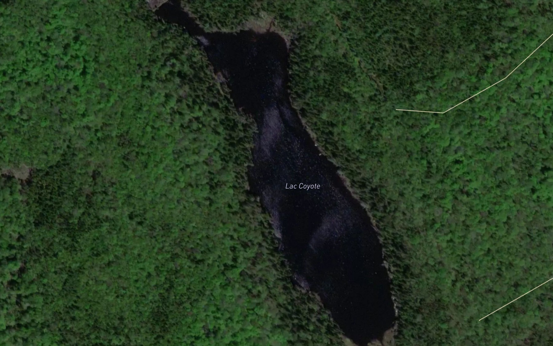 Satellite map of the Lac Coyote