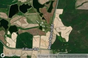 Harris Pond Number Three