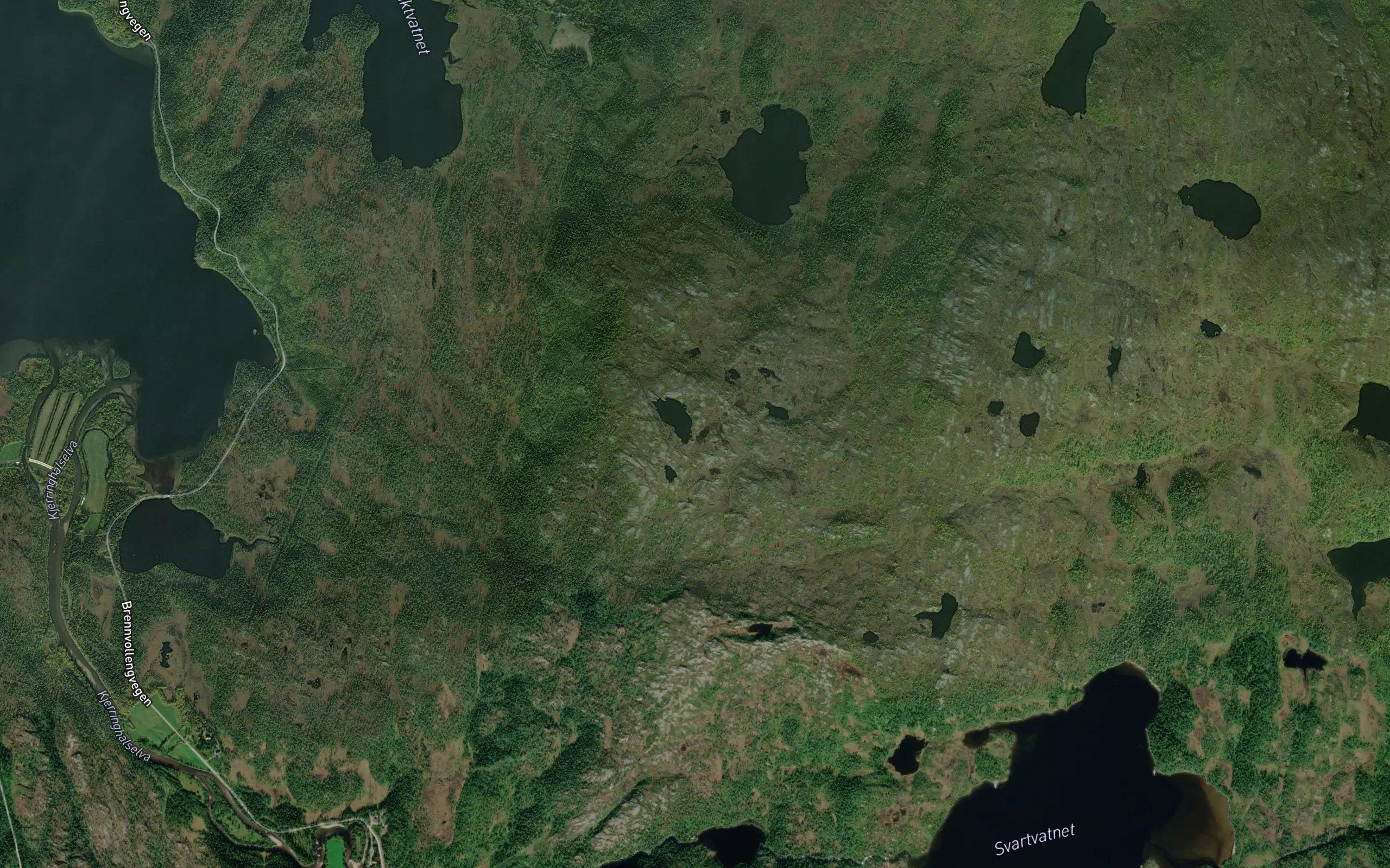 Granskardtjornane