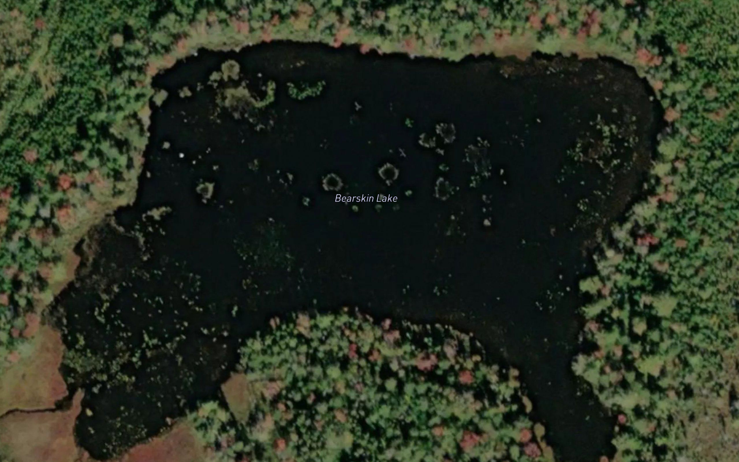Bearskin Lake