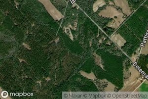 Hawk Pond Branch