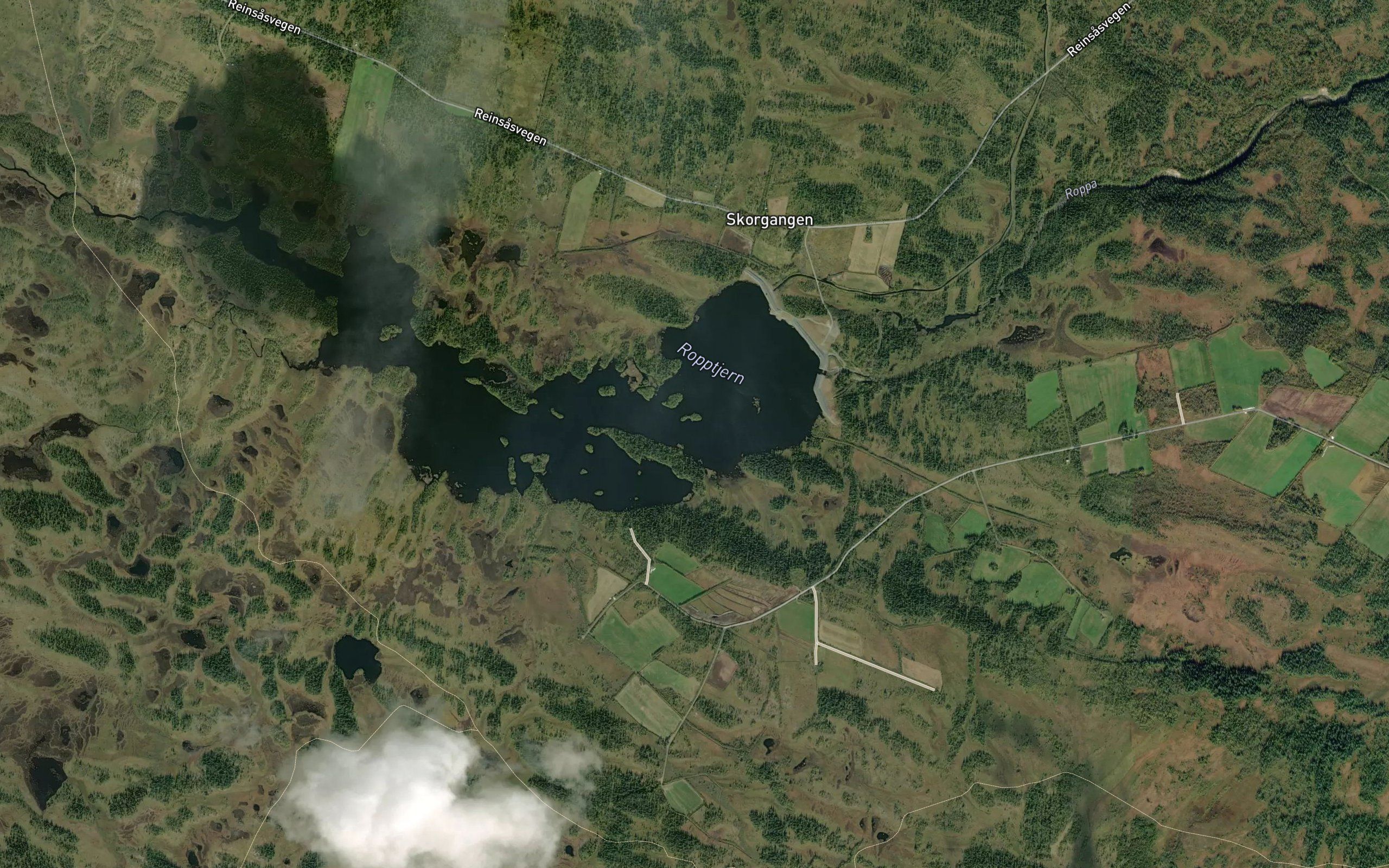 Ropptjorn