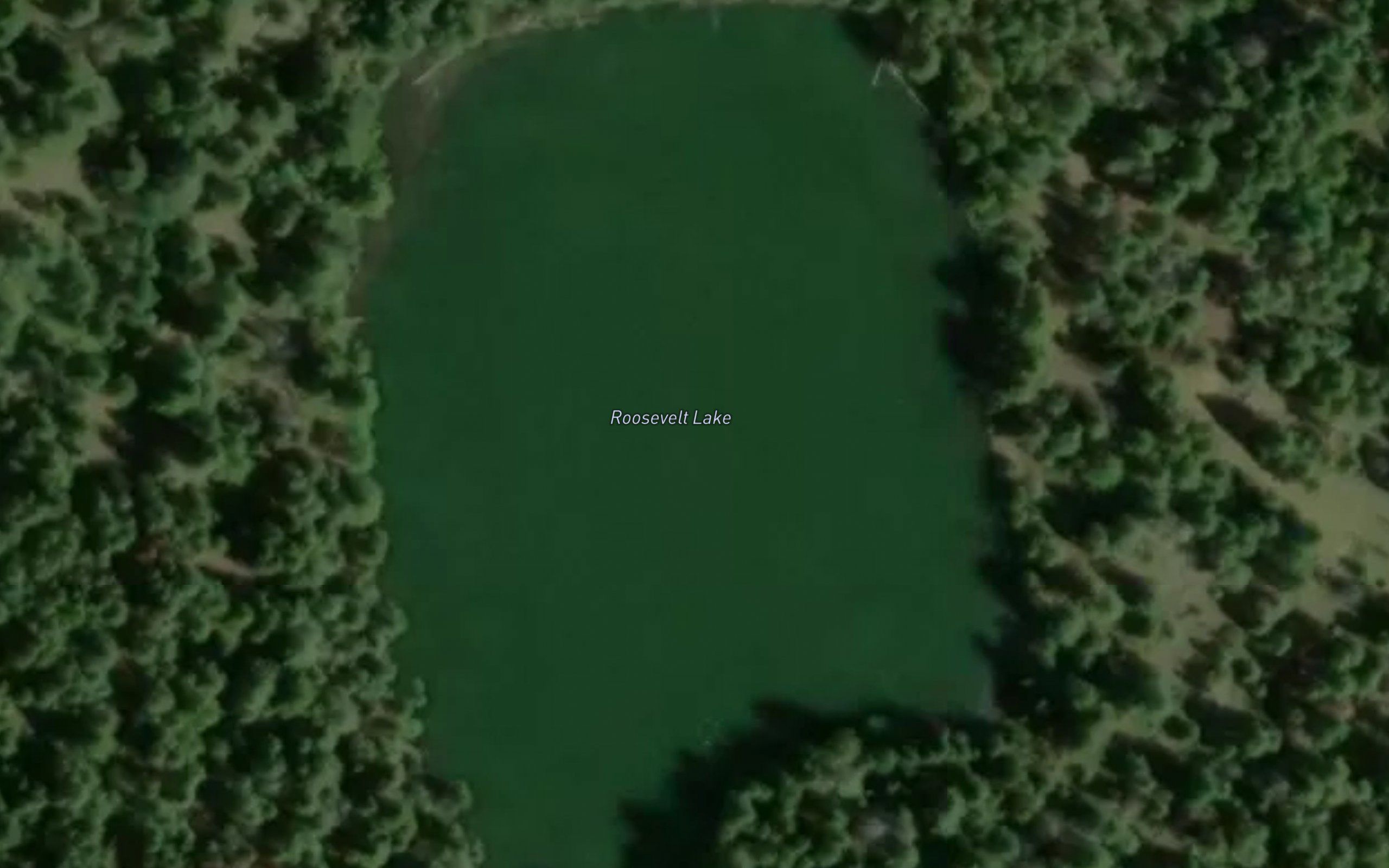 Roosevelt Lake