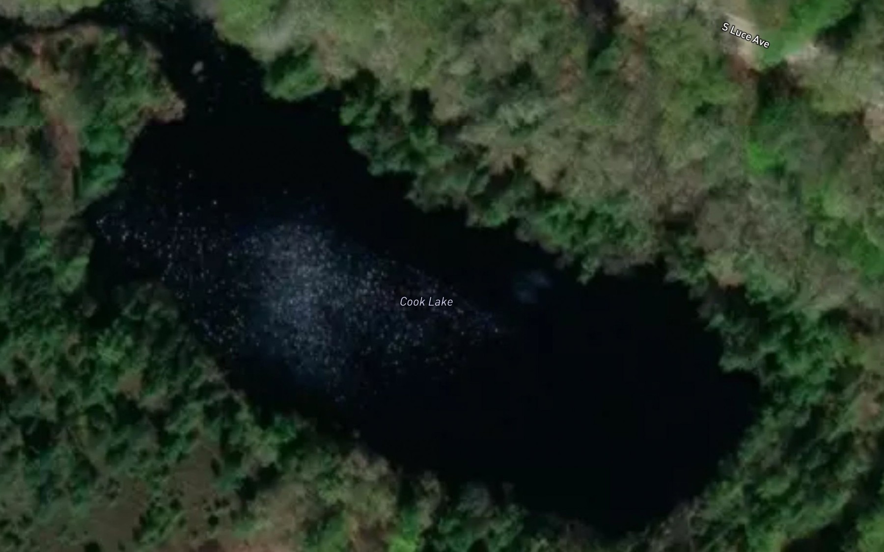 Satellite map of the Cook Lake