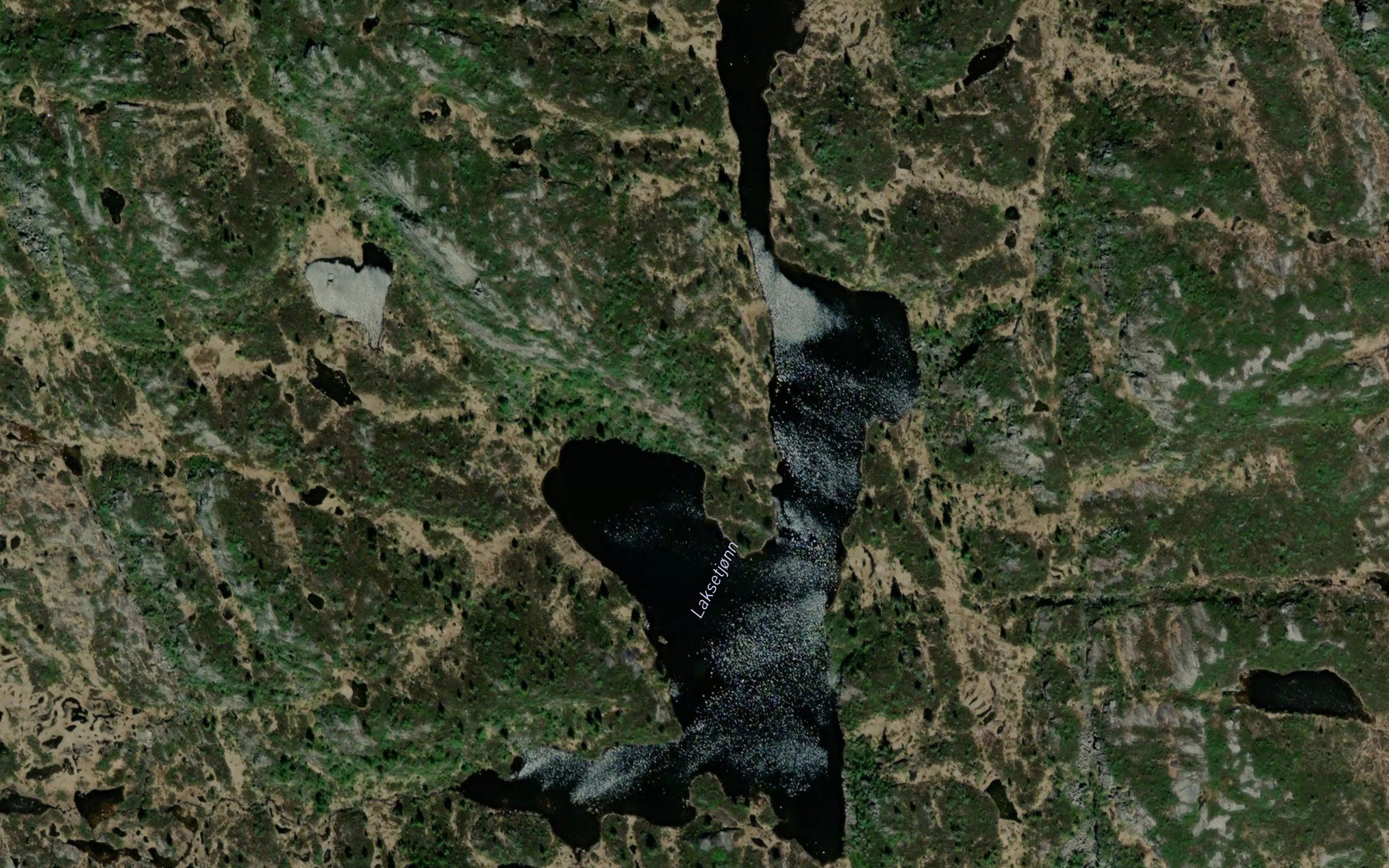 Laksetjonn