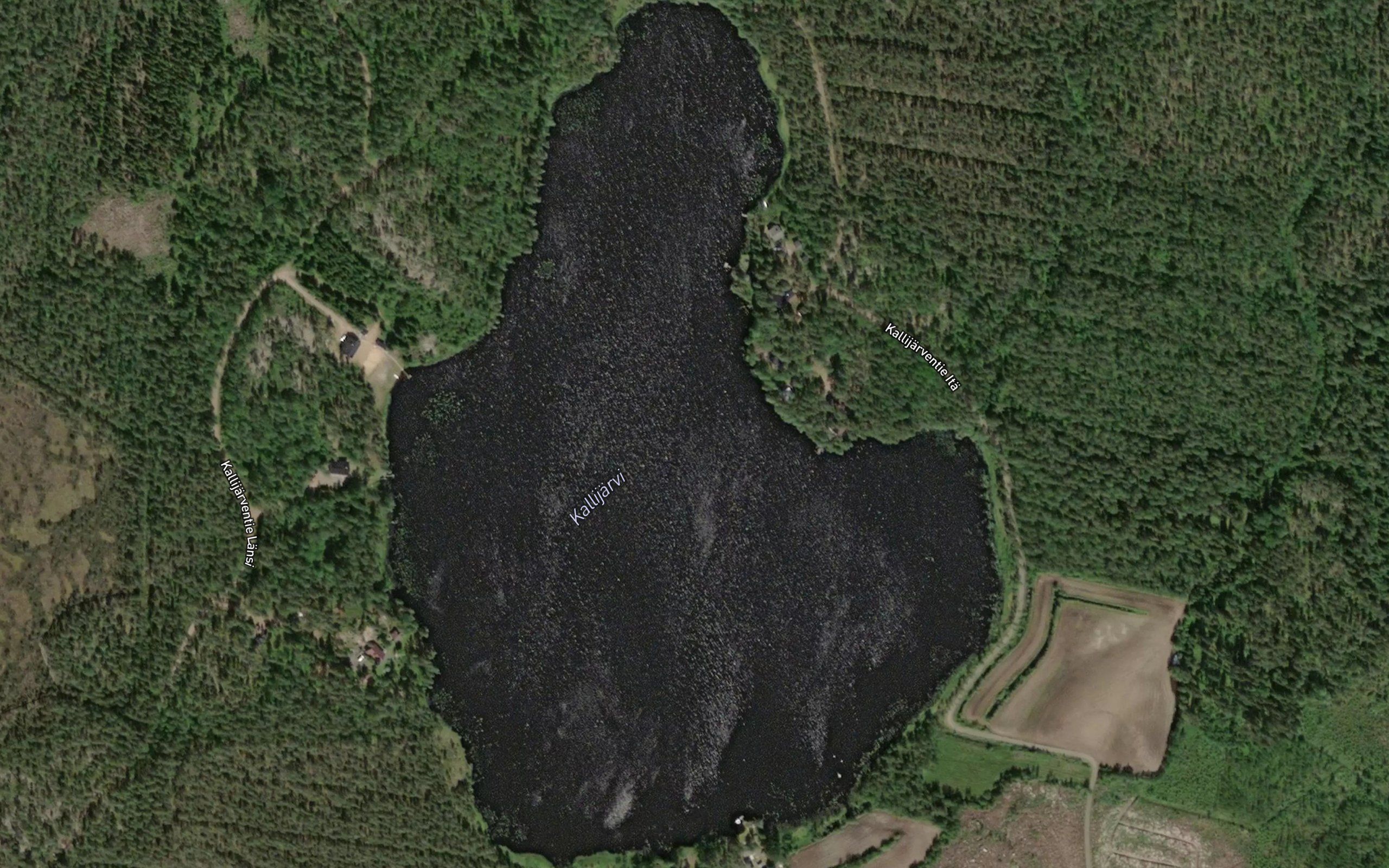 Kallijaervi