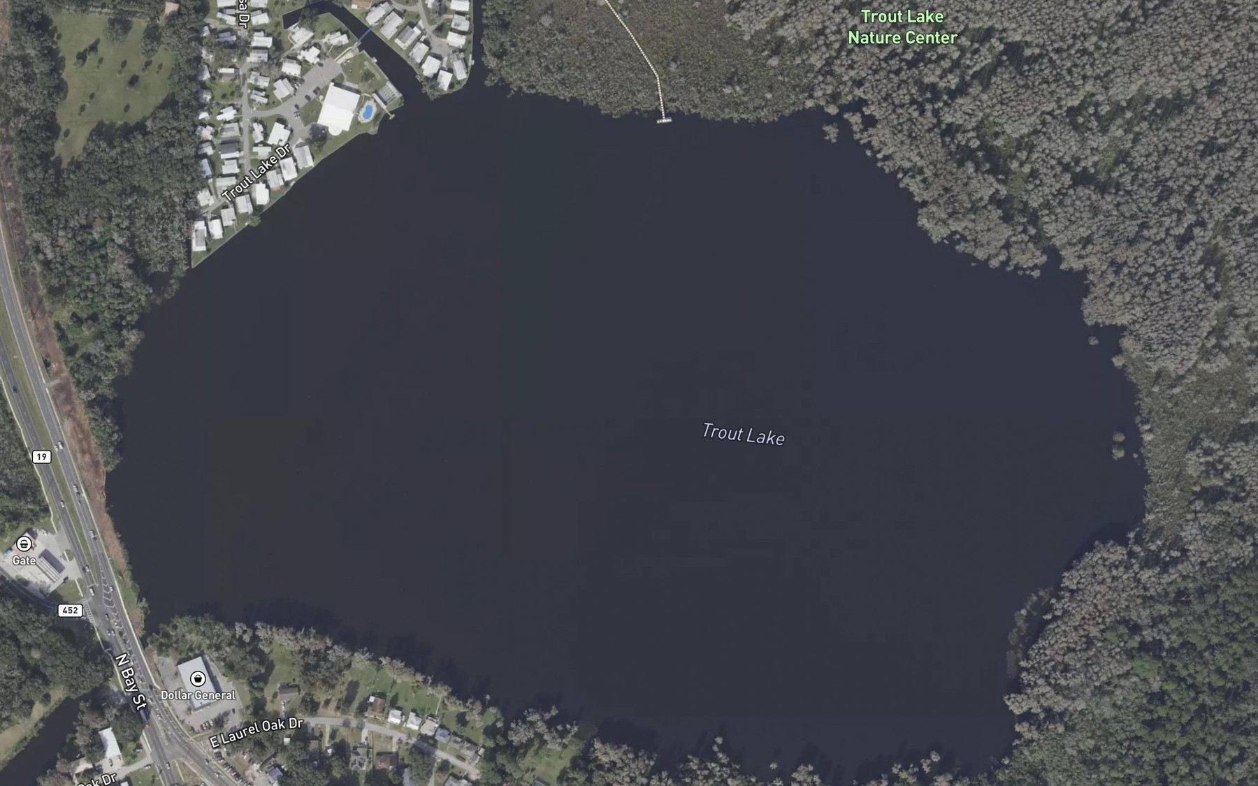 Satellite map of the Trout Lake
