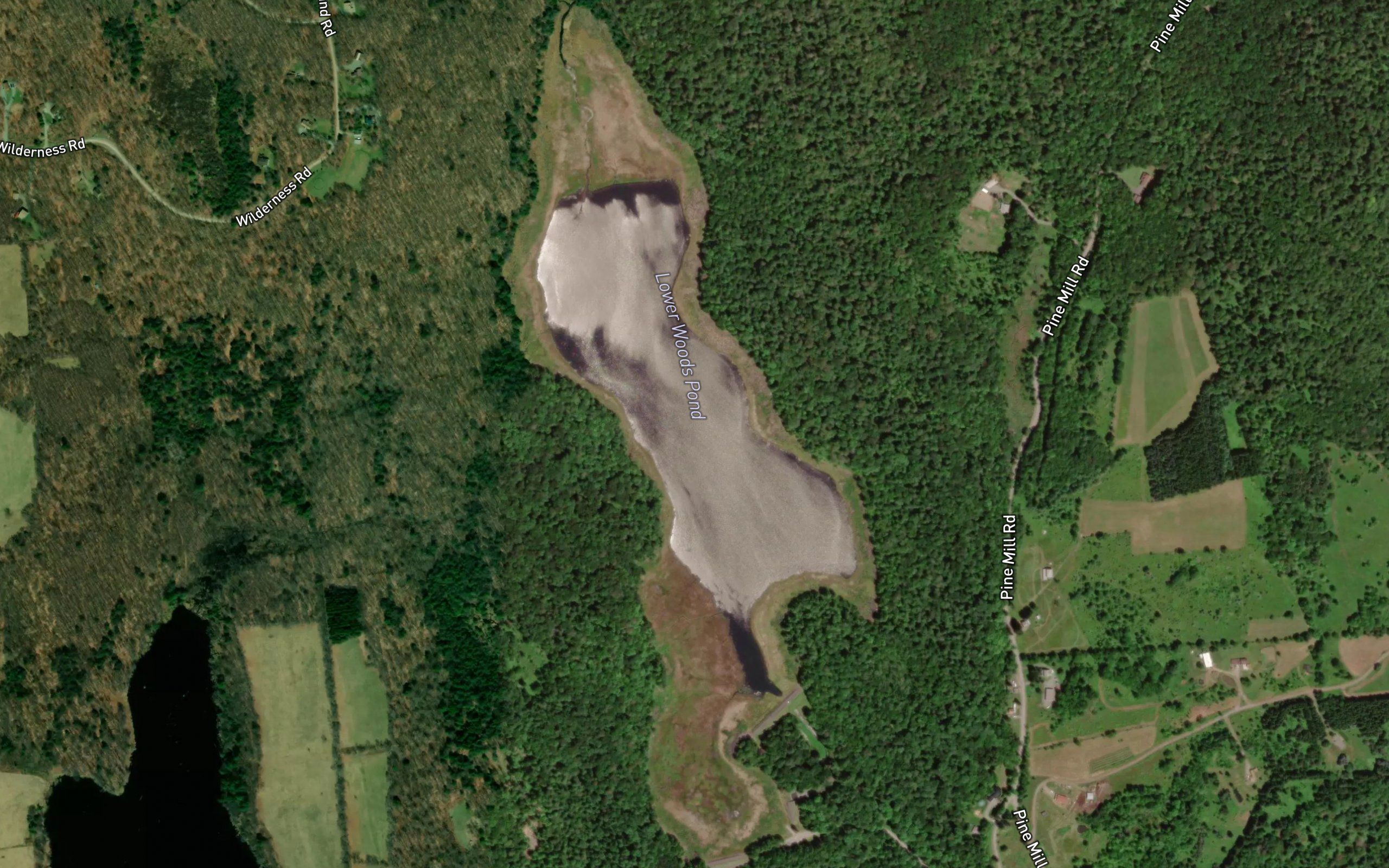 Lower Woods Pond