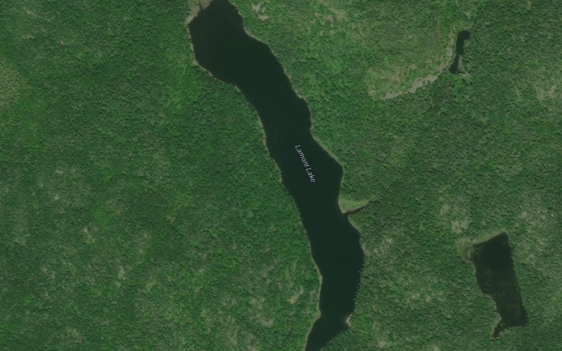 Satellite map of the Lamont Lake
