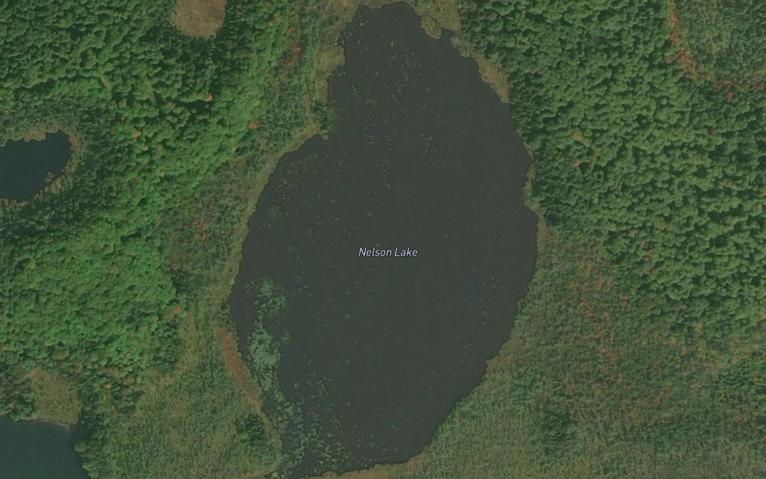 Nelson Lake