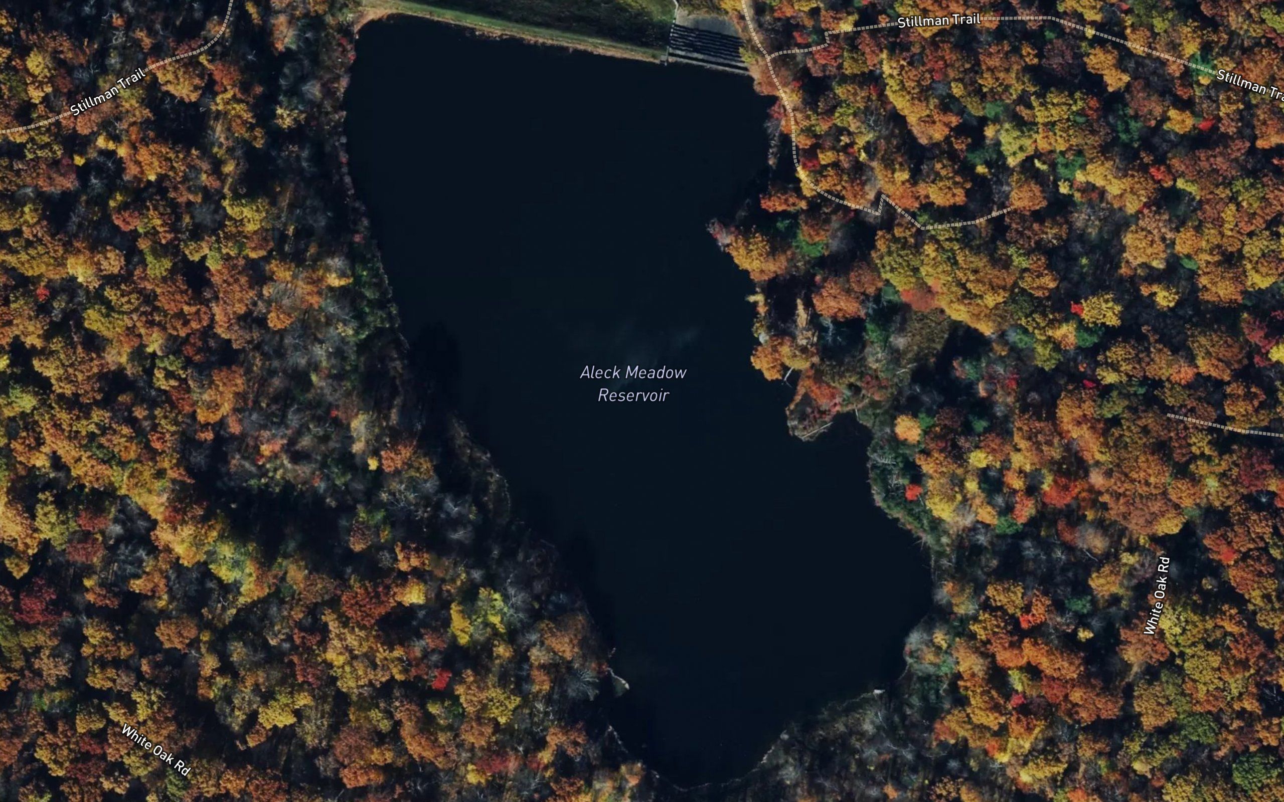 Aleck Meadow Reservoir