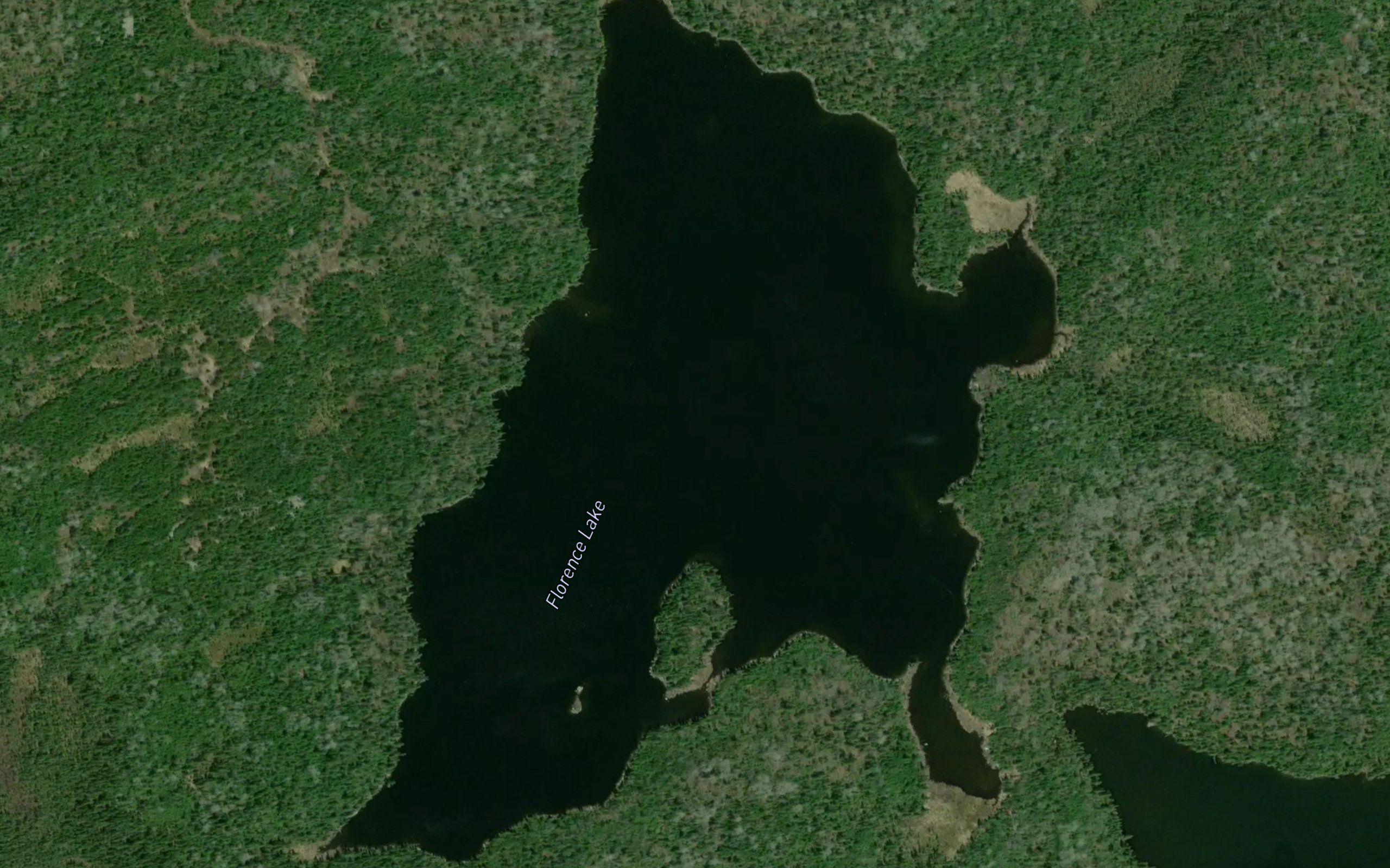 Florence Lake