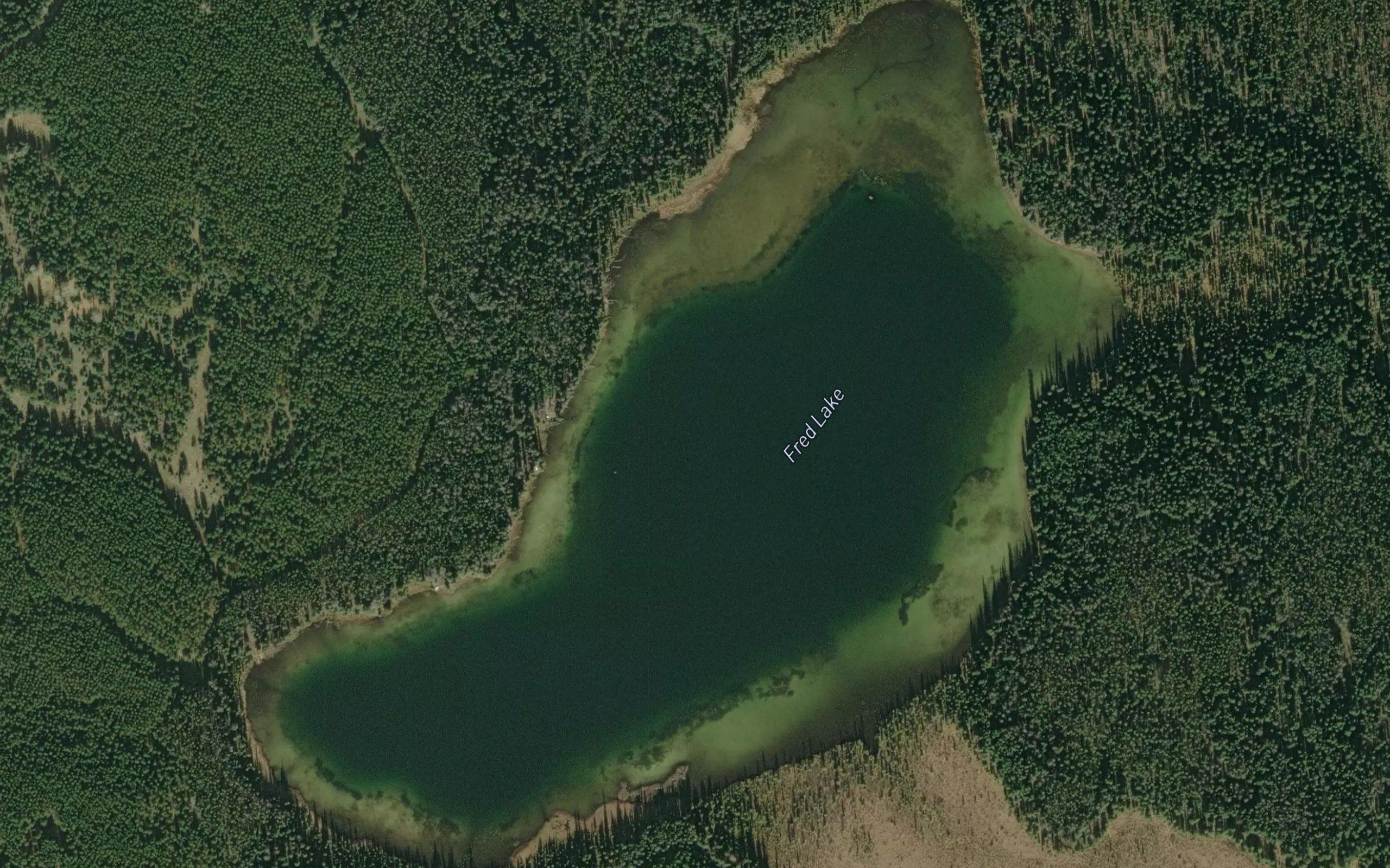 Fred Lake