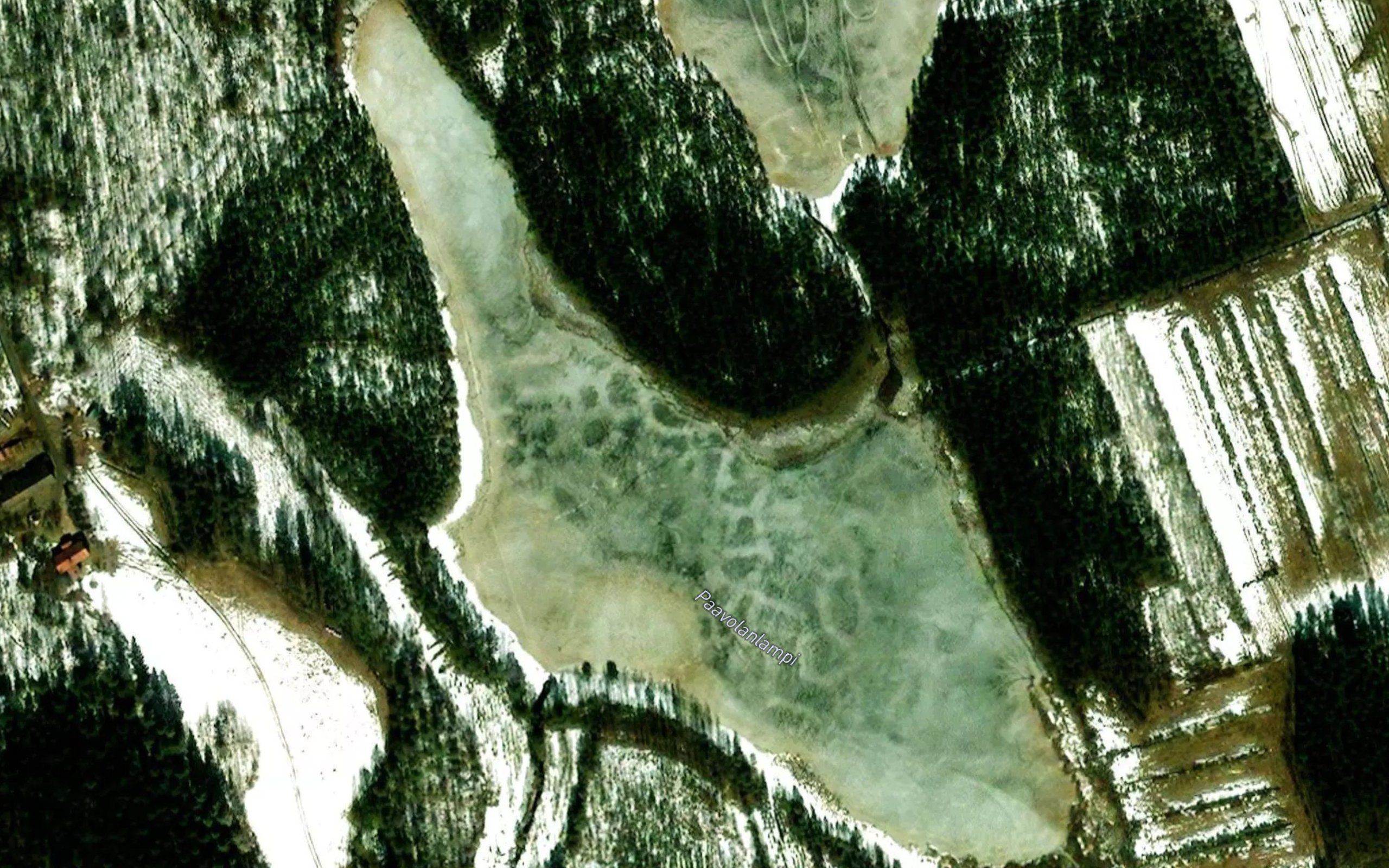 Paavolanlampi