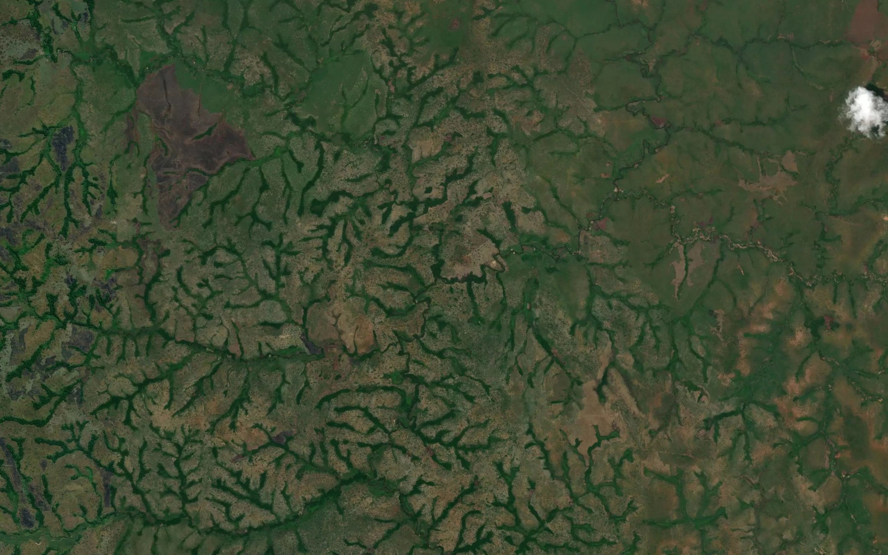 Satellite map of the Lukutumia