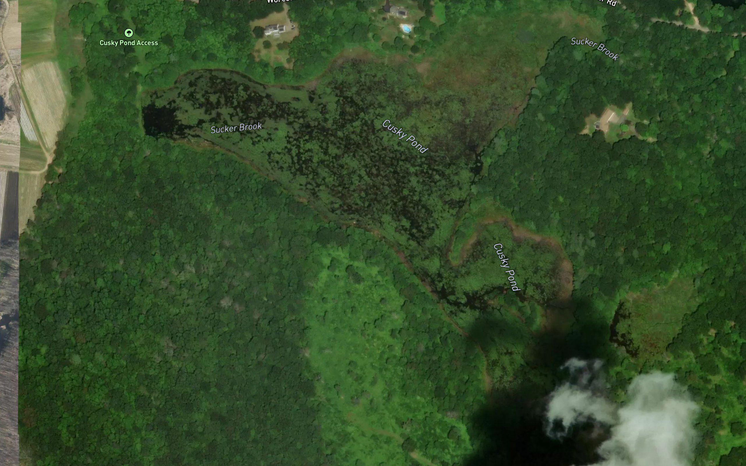 Cusky Pond