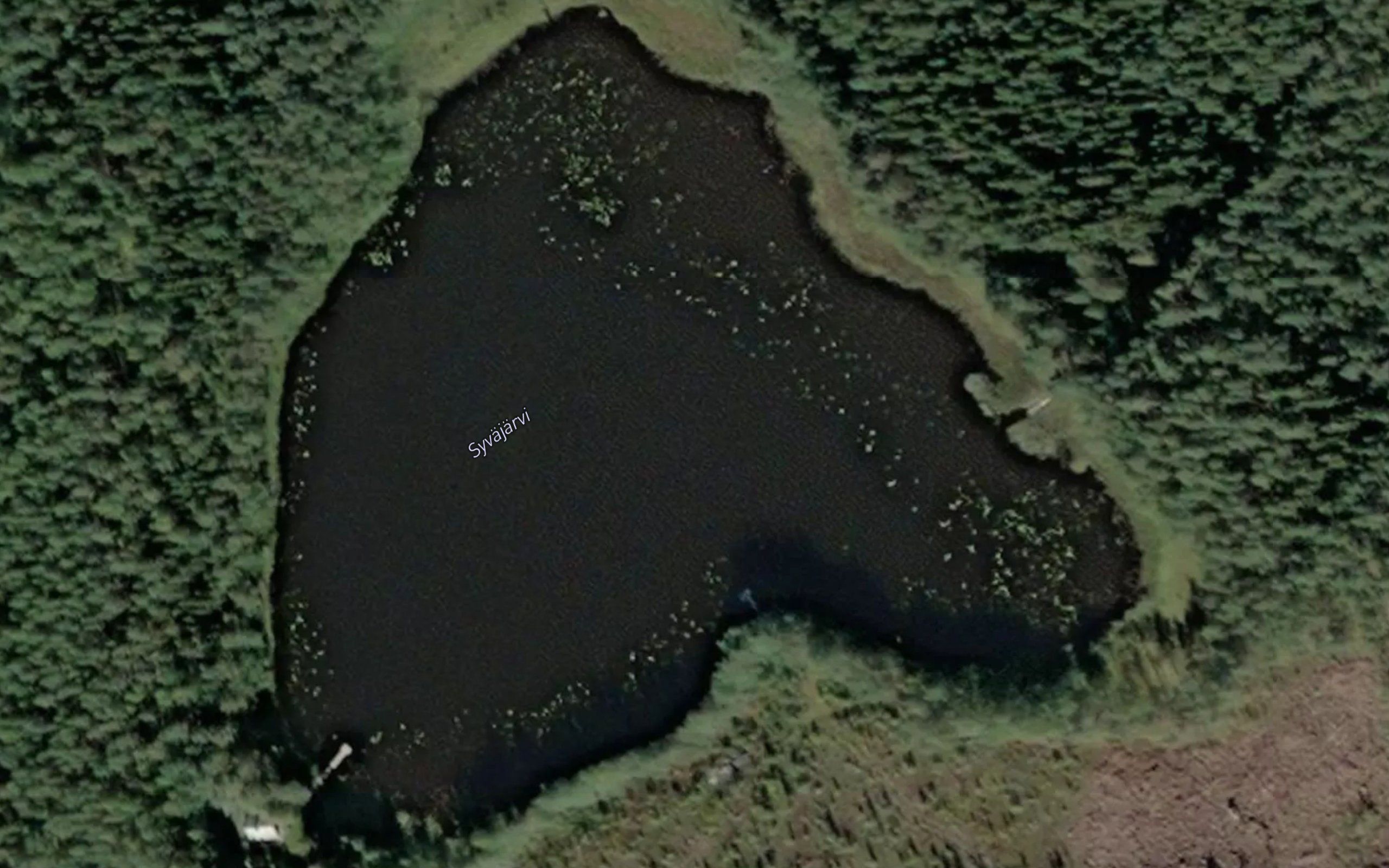 Syvajarvi