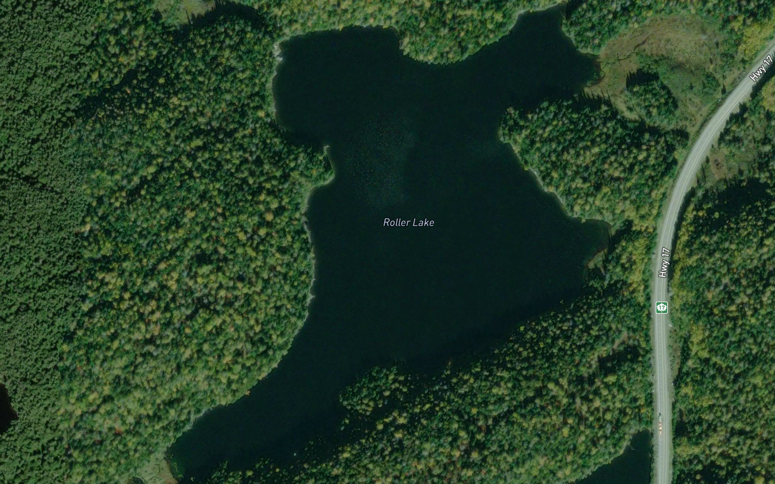 Roller Lake