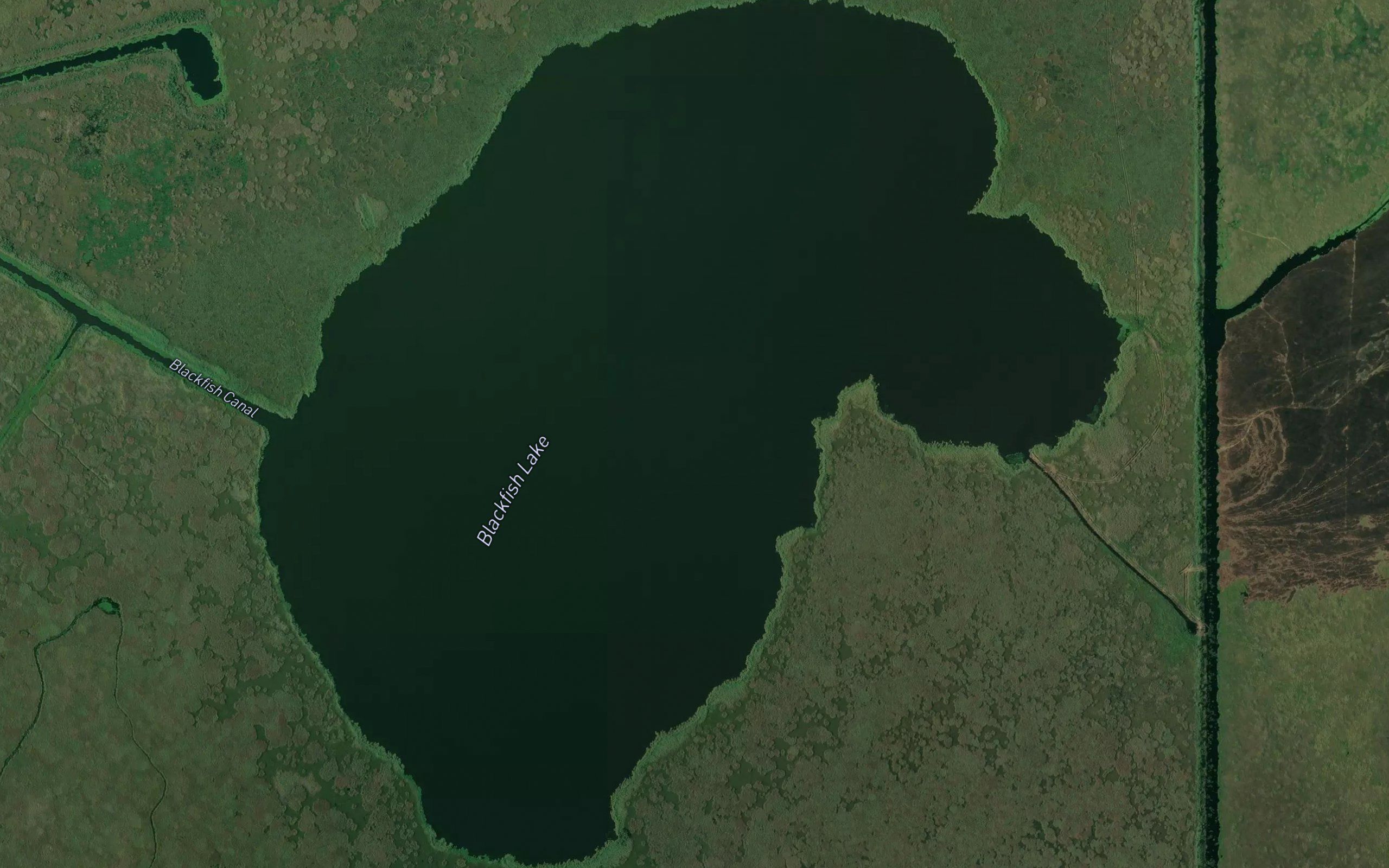 Blackfish Lake