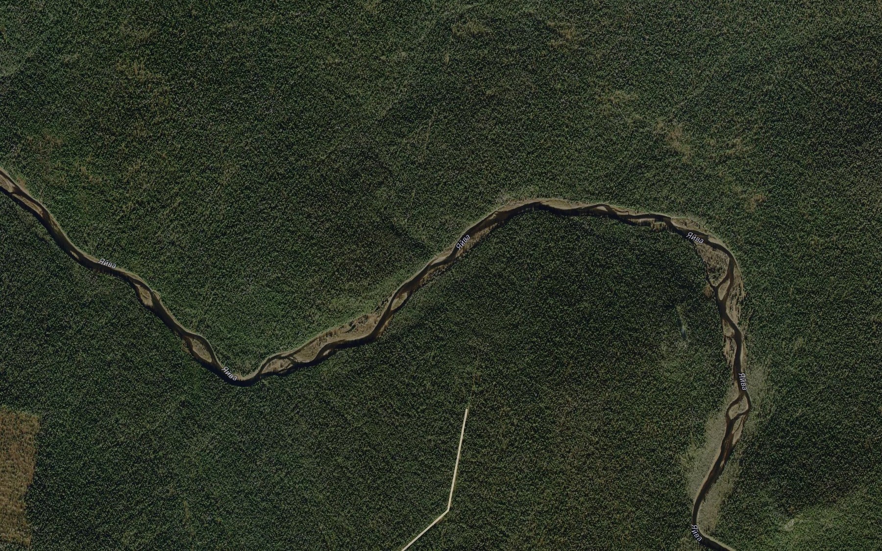 Satellite map of the Shuvaldyshnaya