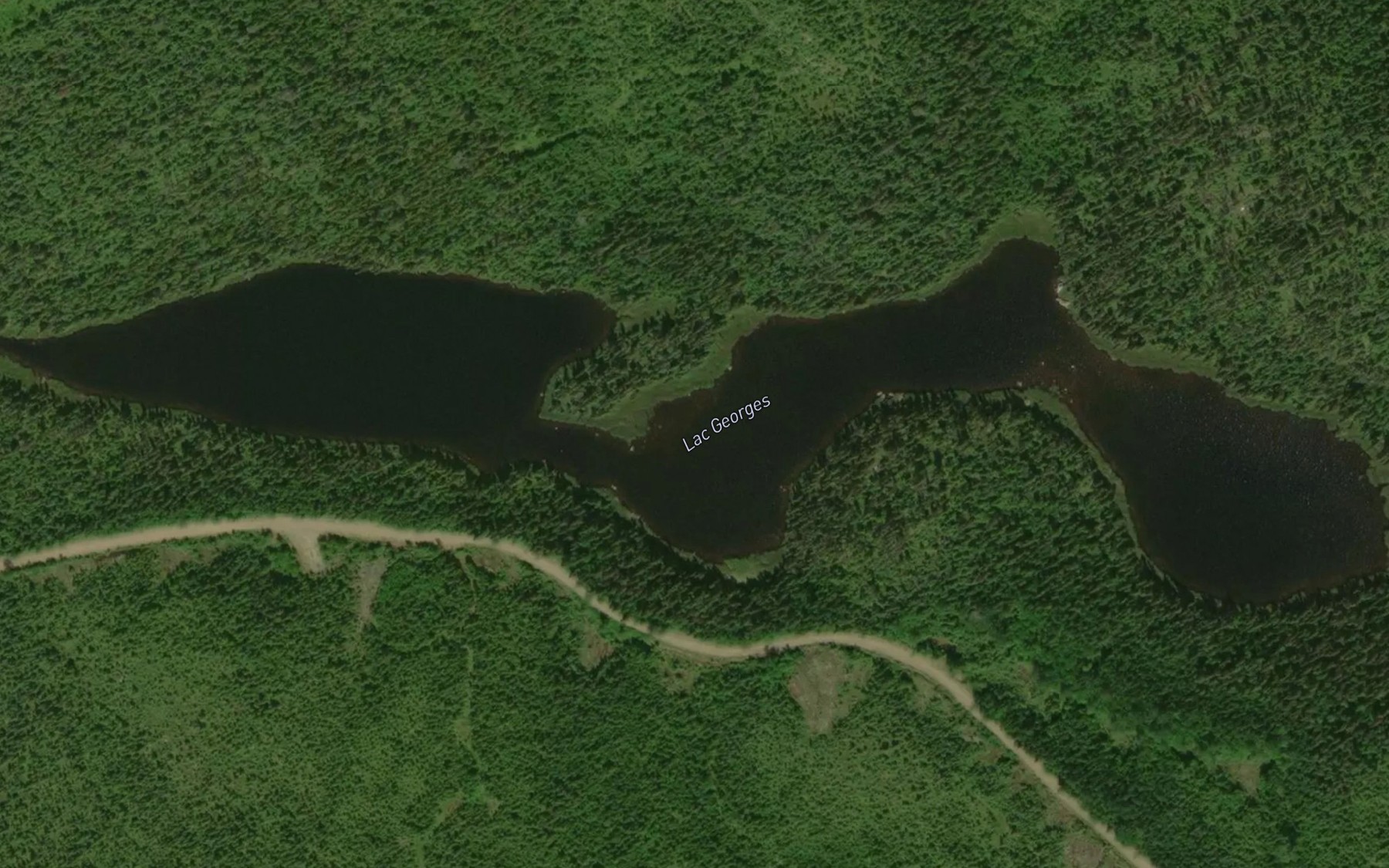 Satellite map of the Lac Georges
