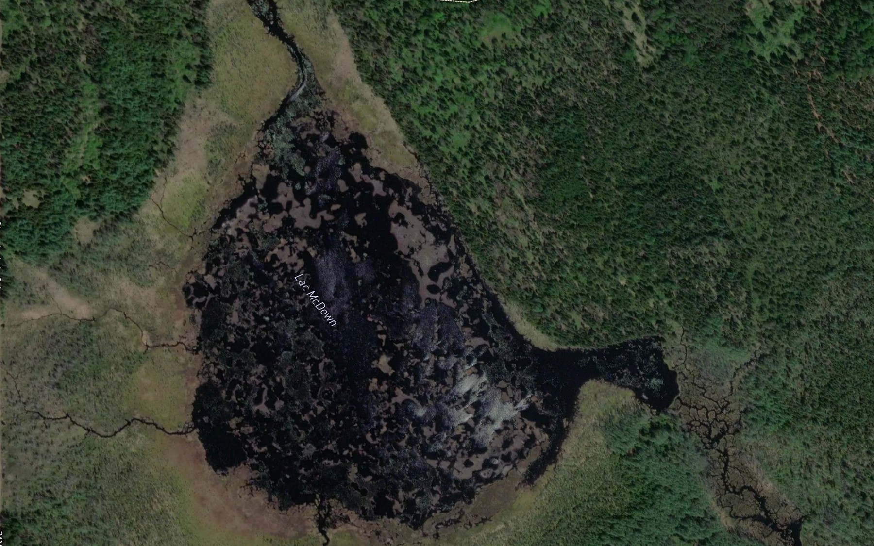 Satellite map of the Lac McDown