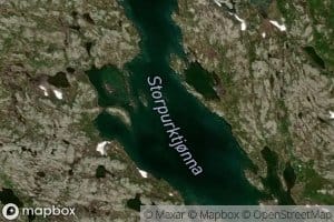 Storpurktjonna