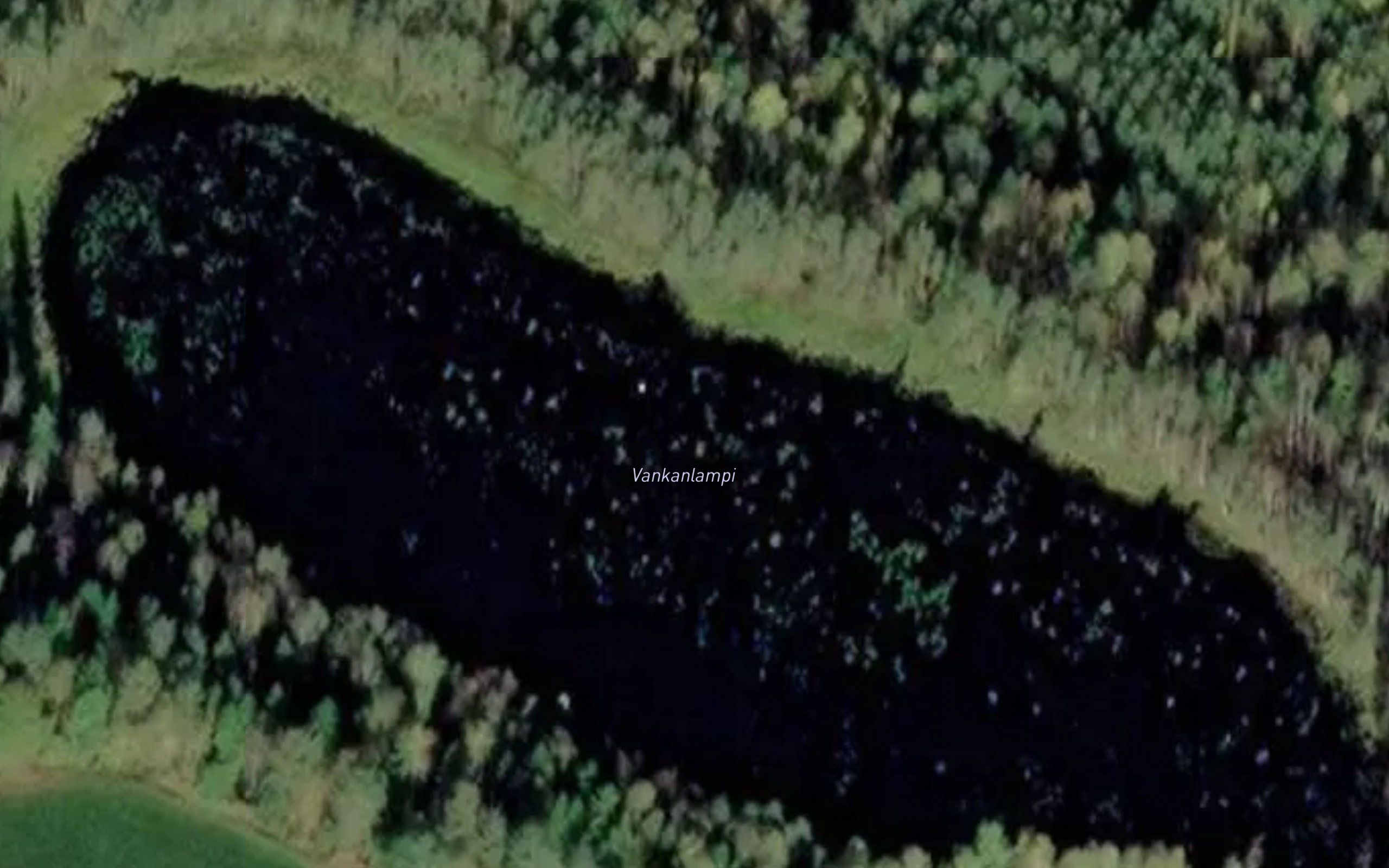 Vankanlampi