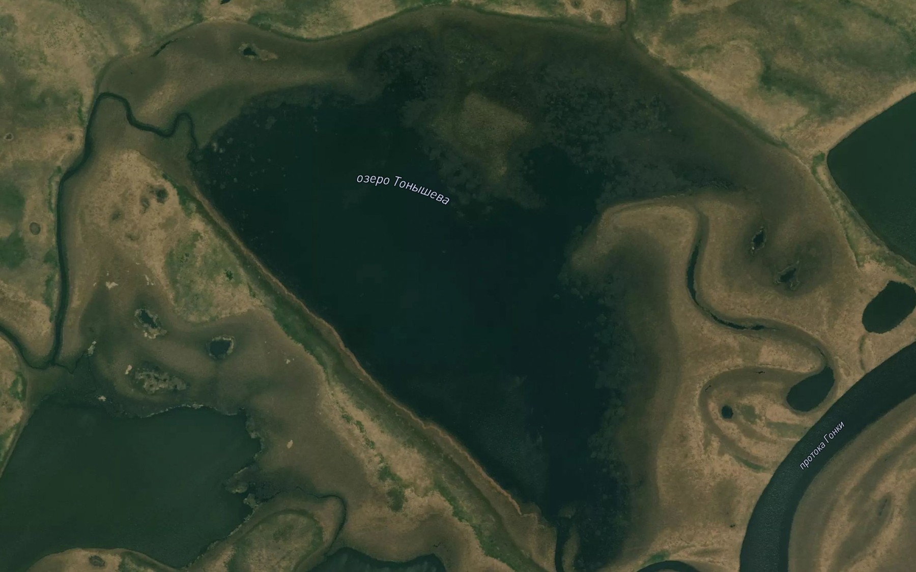 Satellite map of the Ozero Tonysheva