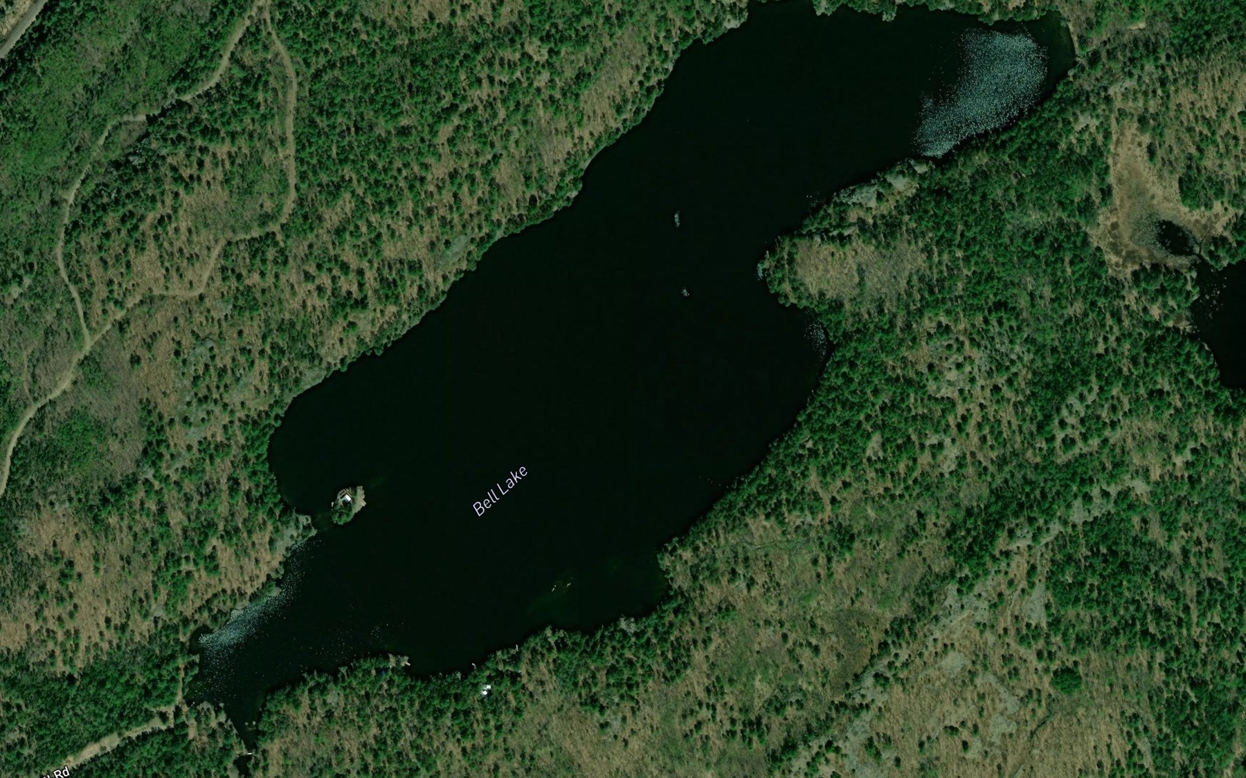 Satellite map of the Bell Lake
