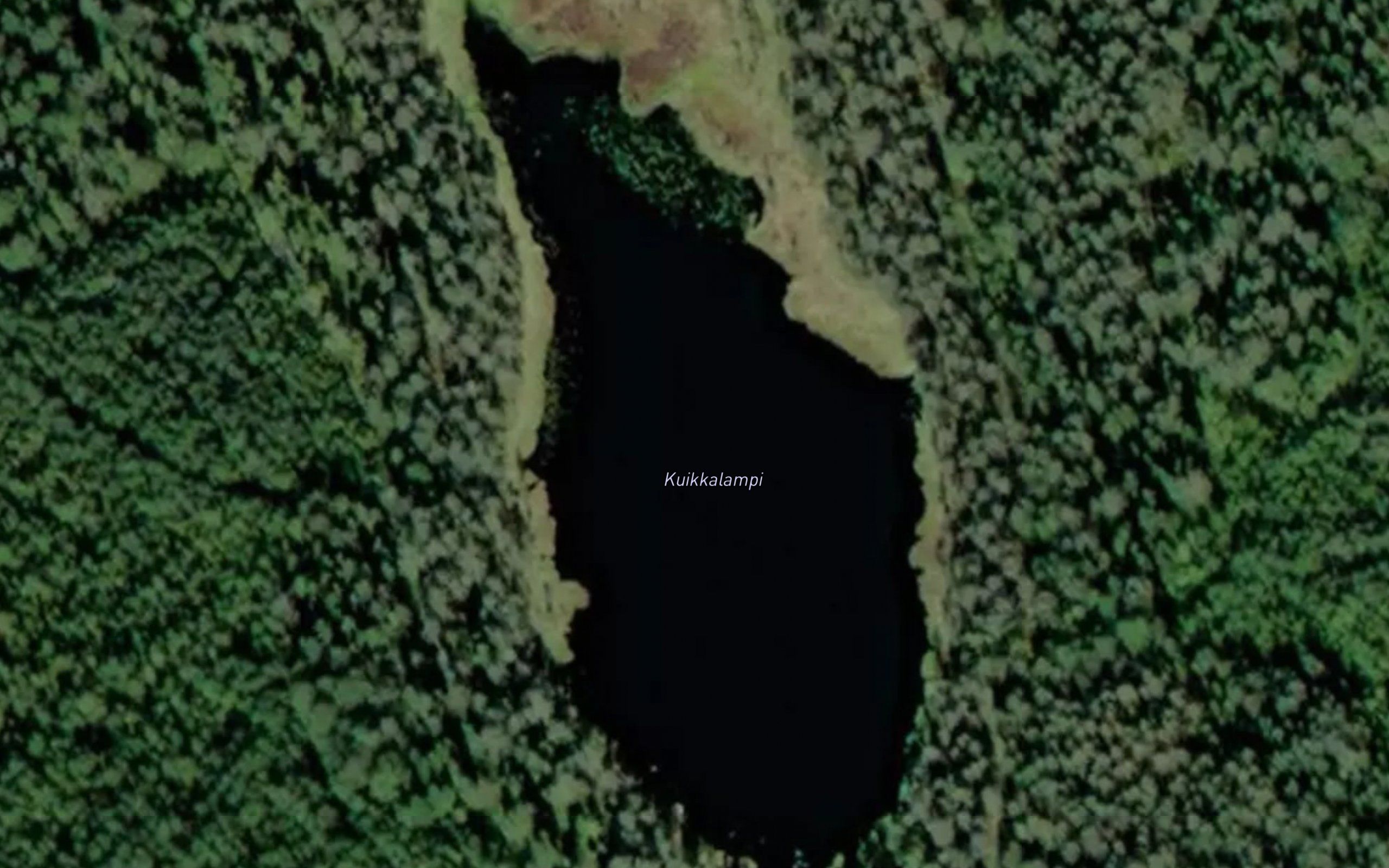 Kuikkalampi